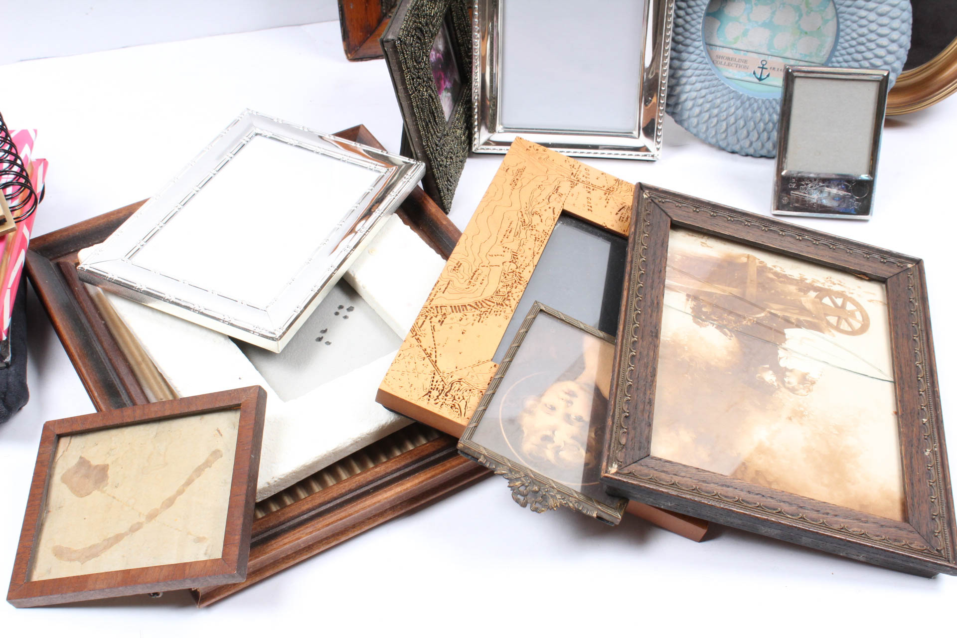 Picture Frame Variety