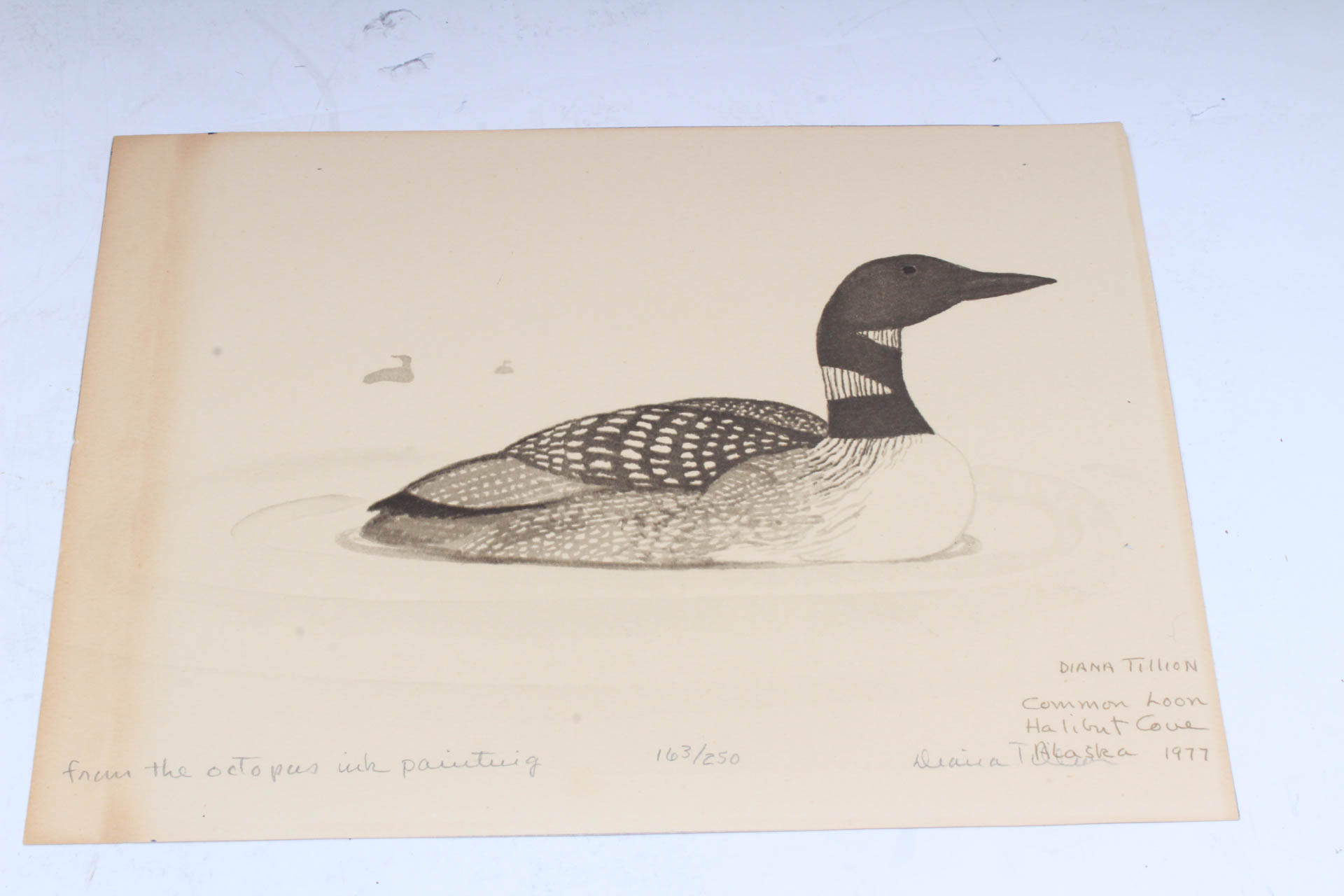 Fine Print Collection