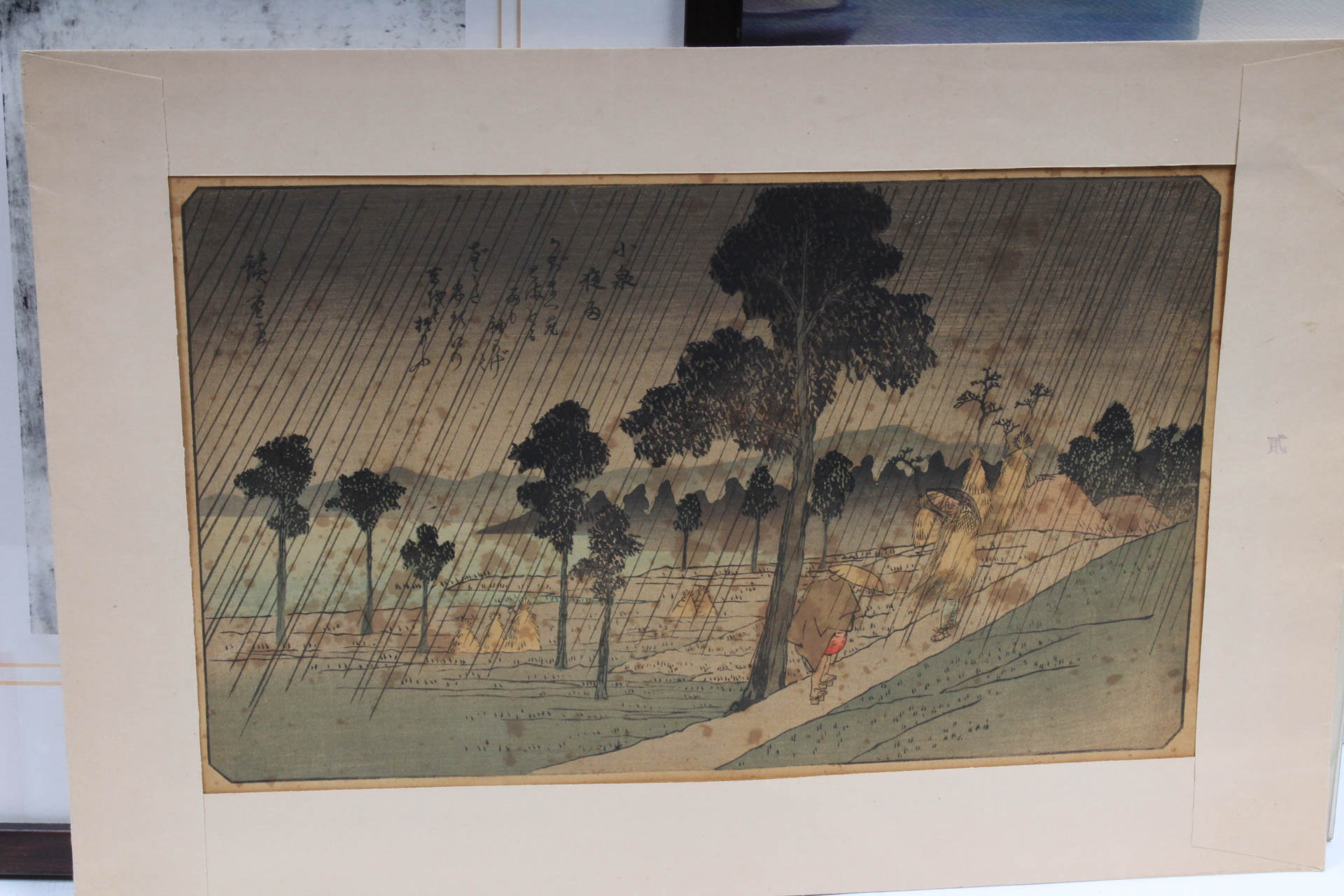 Fine Print Collection