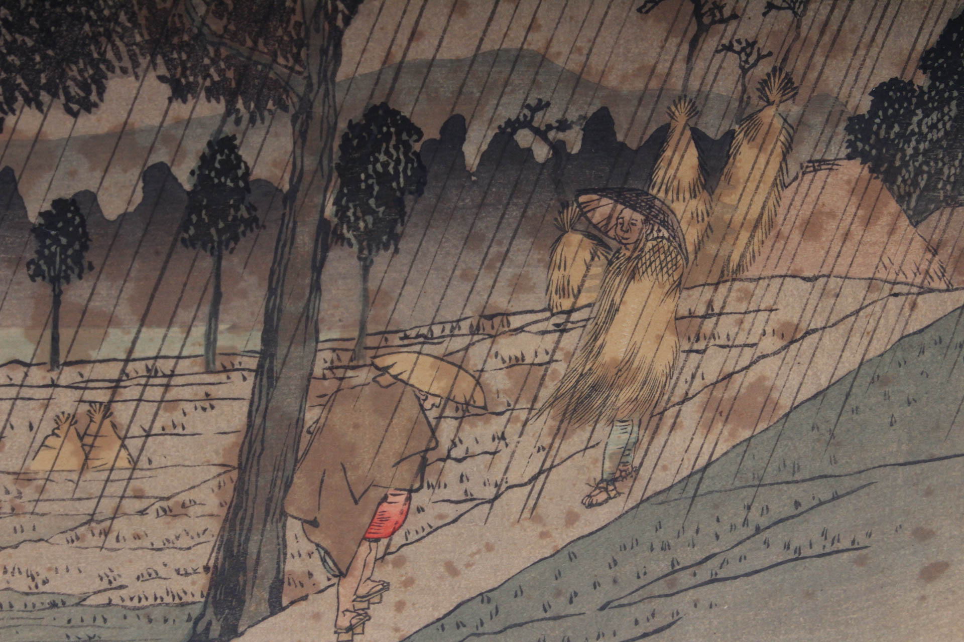 Fine Print Collection