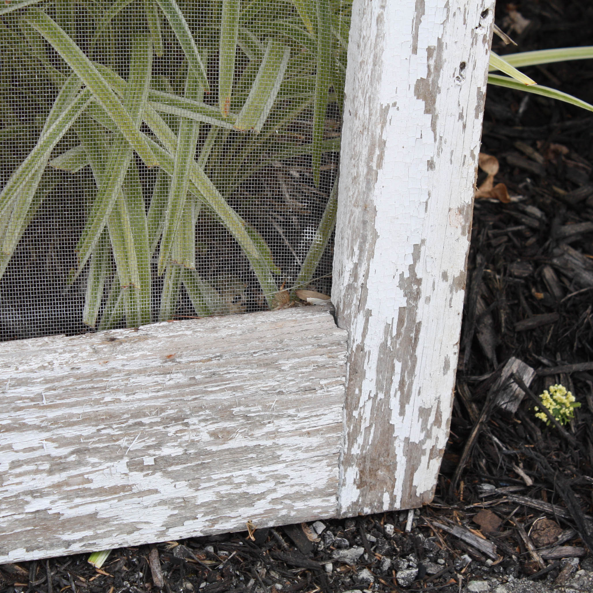 Victorian Style Wooden Screen Door