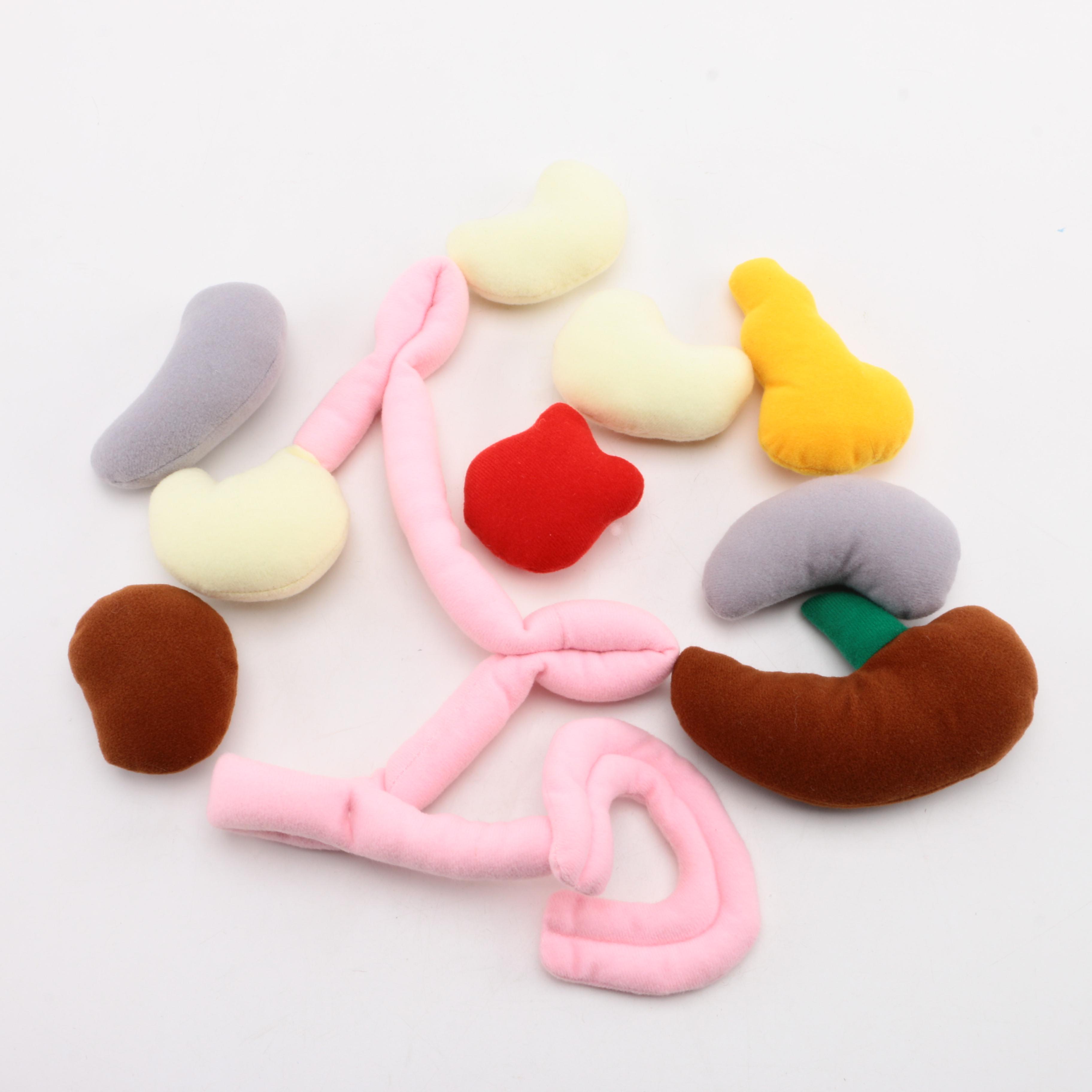 "Gus Gutz" Anatomical Educational Plush Toy