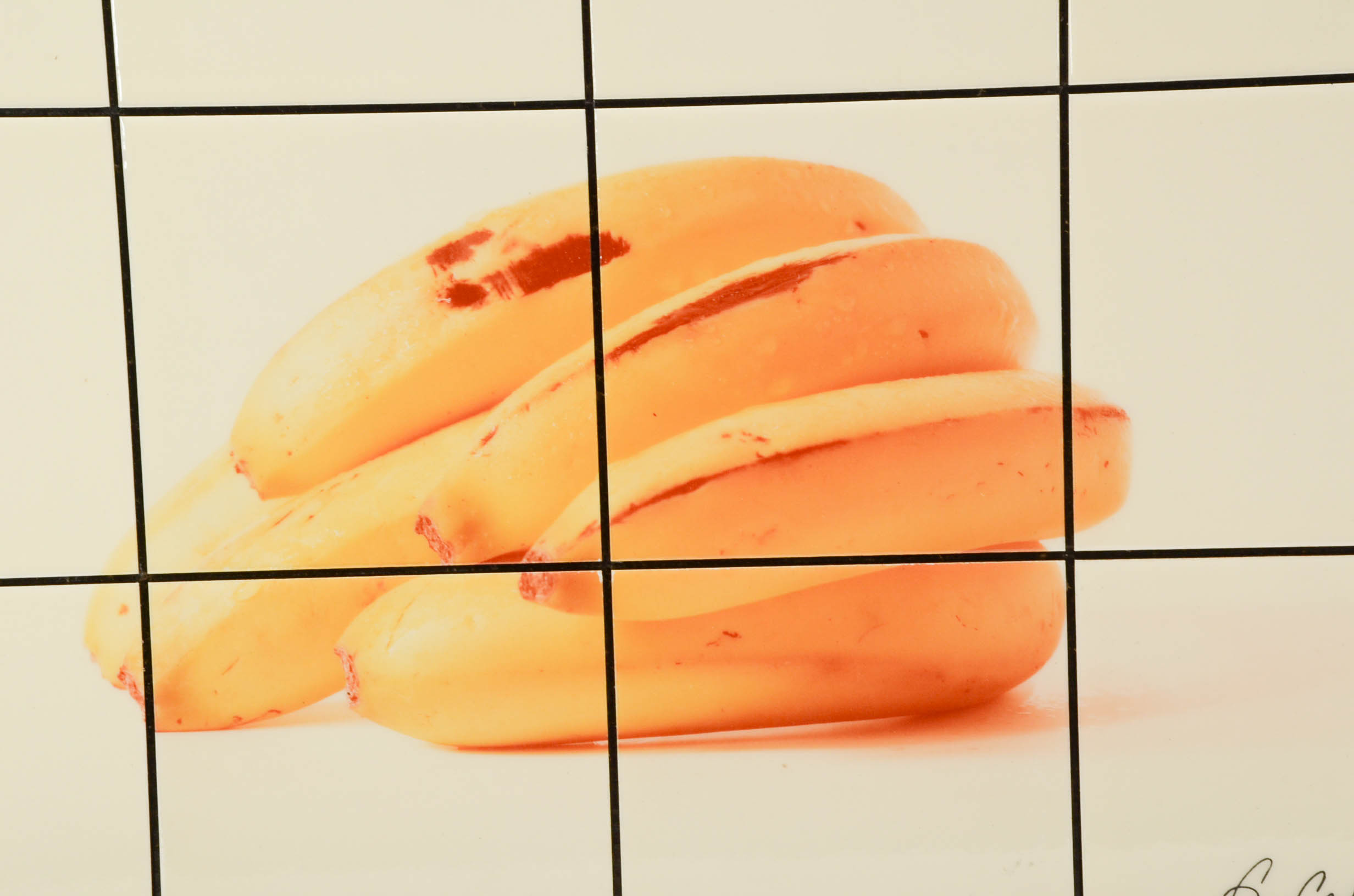 Greg Copeland Studio Collection Tile Wall Art Triptcyh