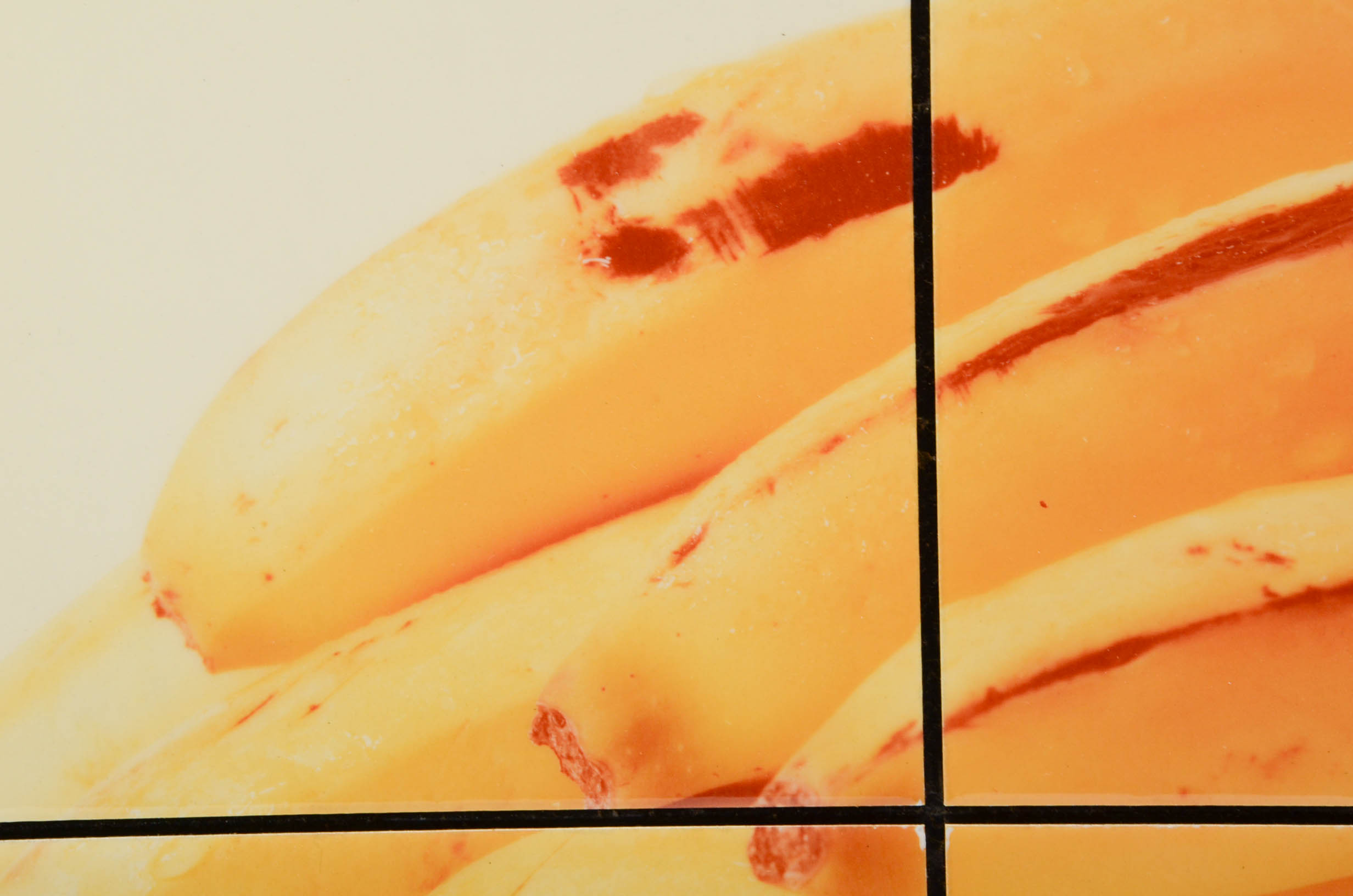 Greg Copeland Studio Collection Tile Wall Art Triptcyh