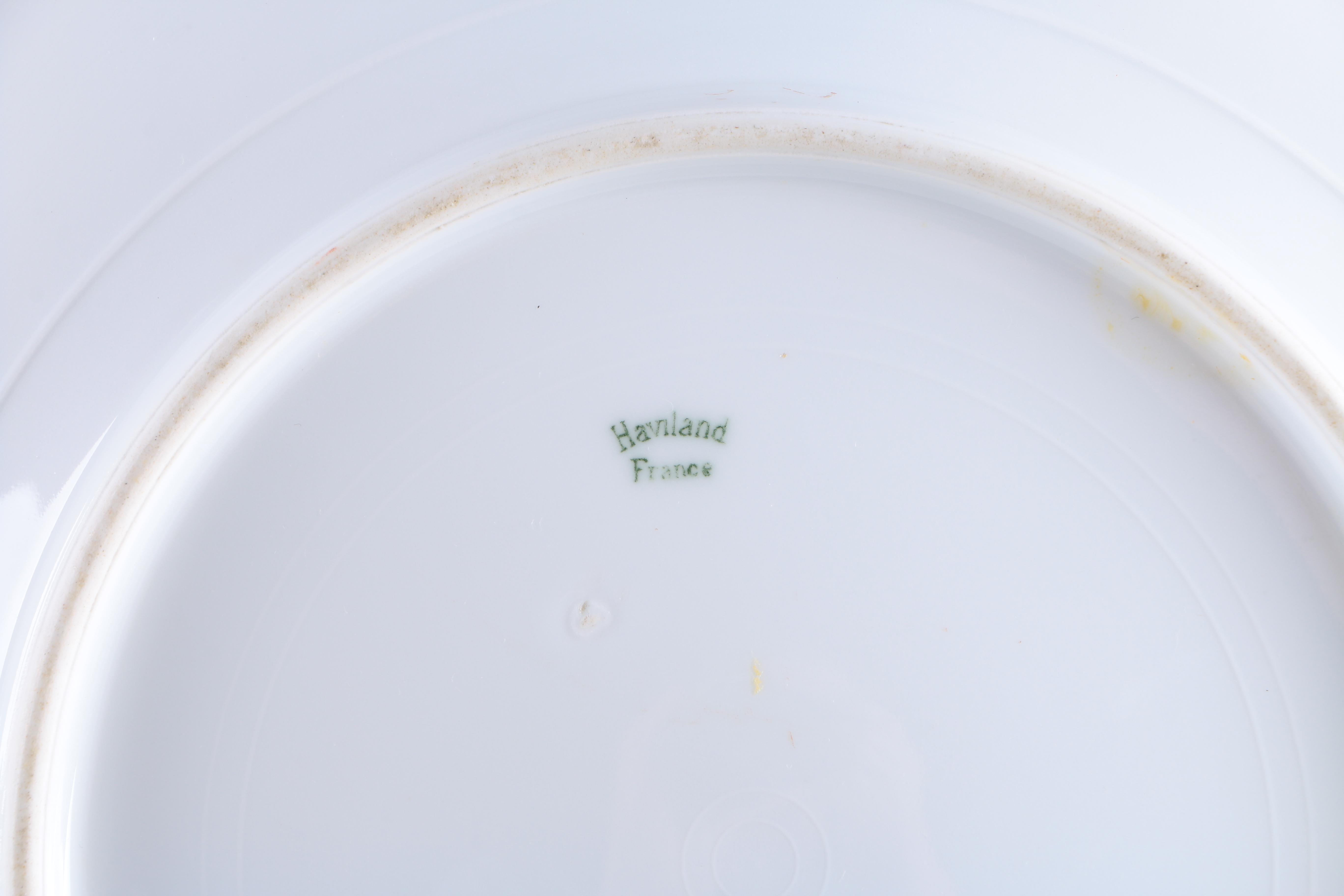 Haviland & Co. Gold Tone Porcelain Dinnerware