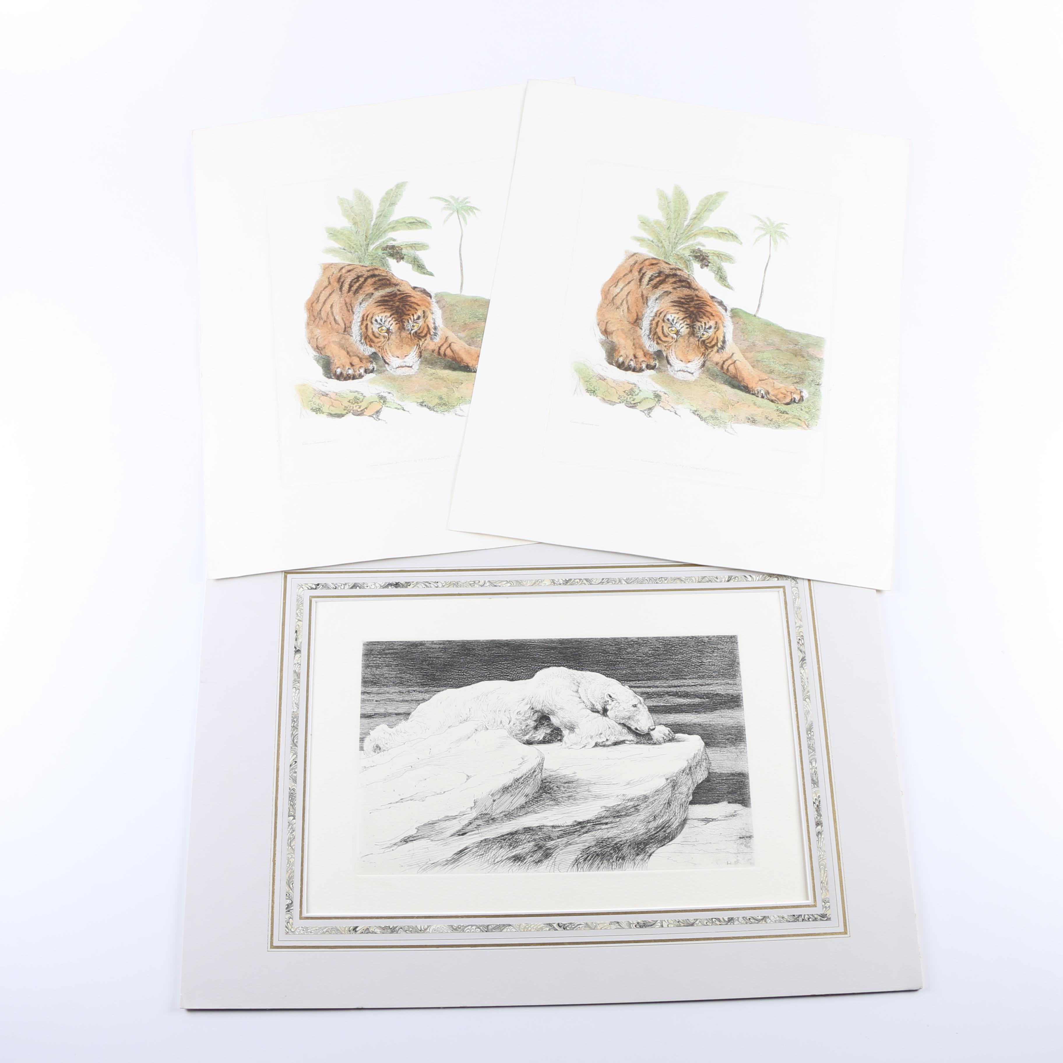 Hand-Colored Etchings of Animals