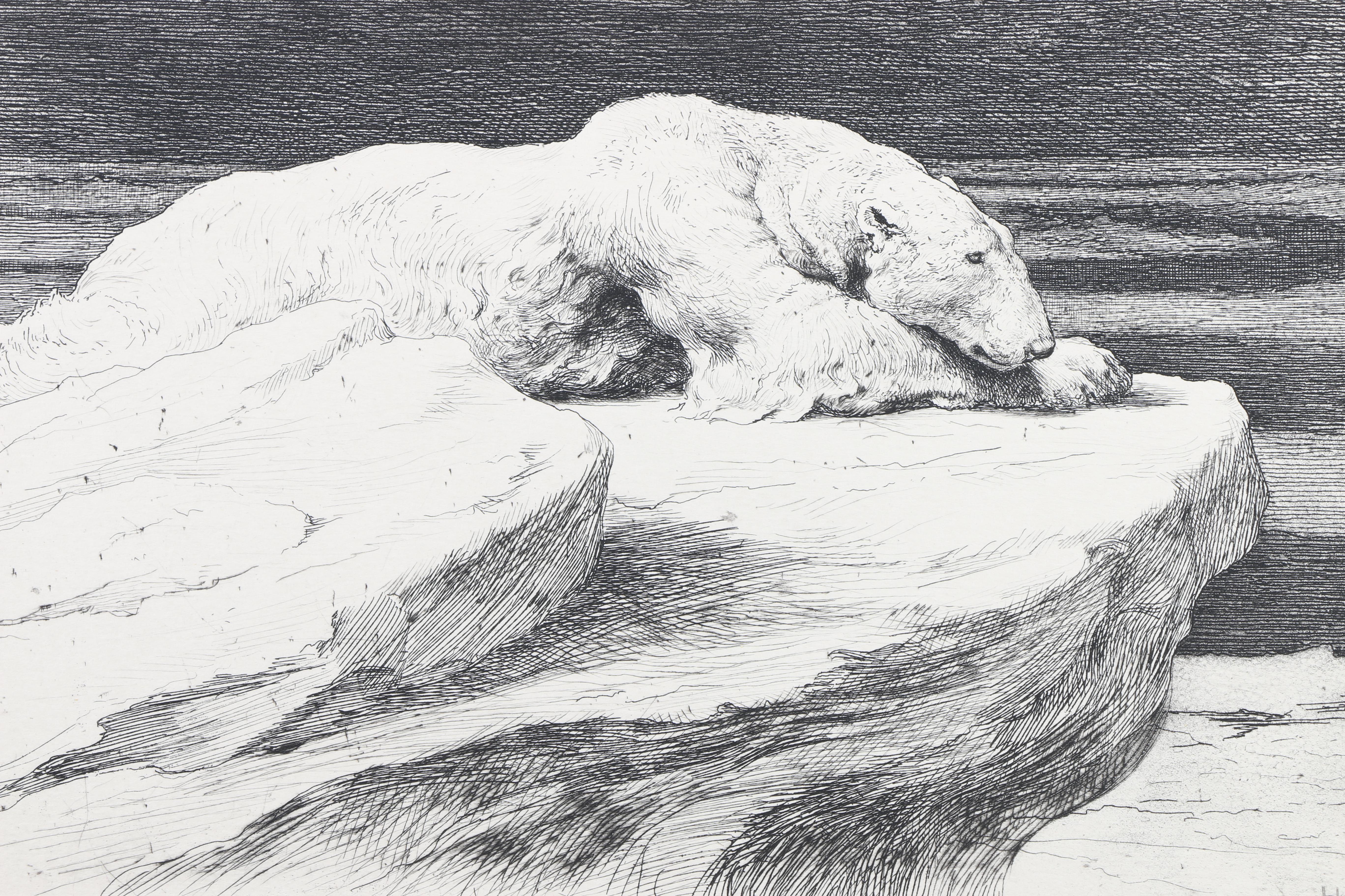 Hand-Colored Etchings of Animals