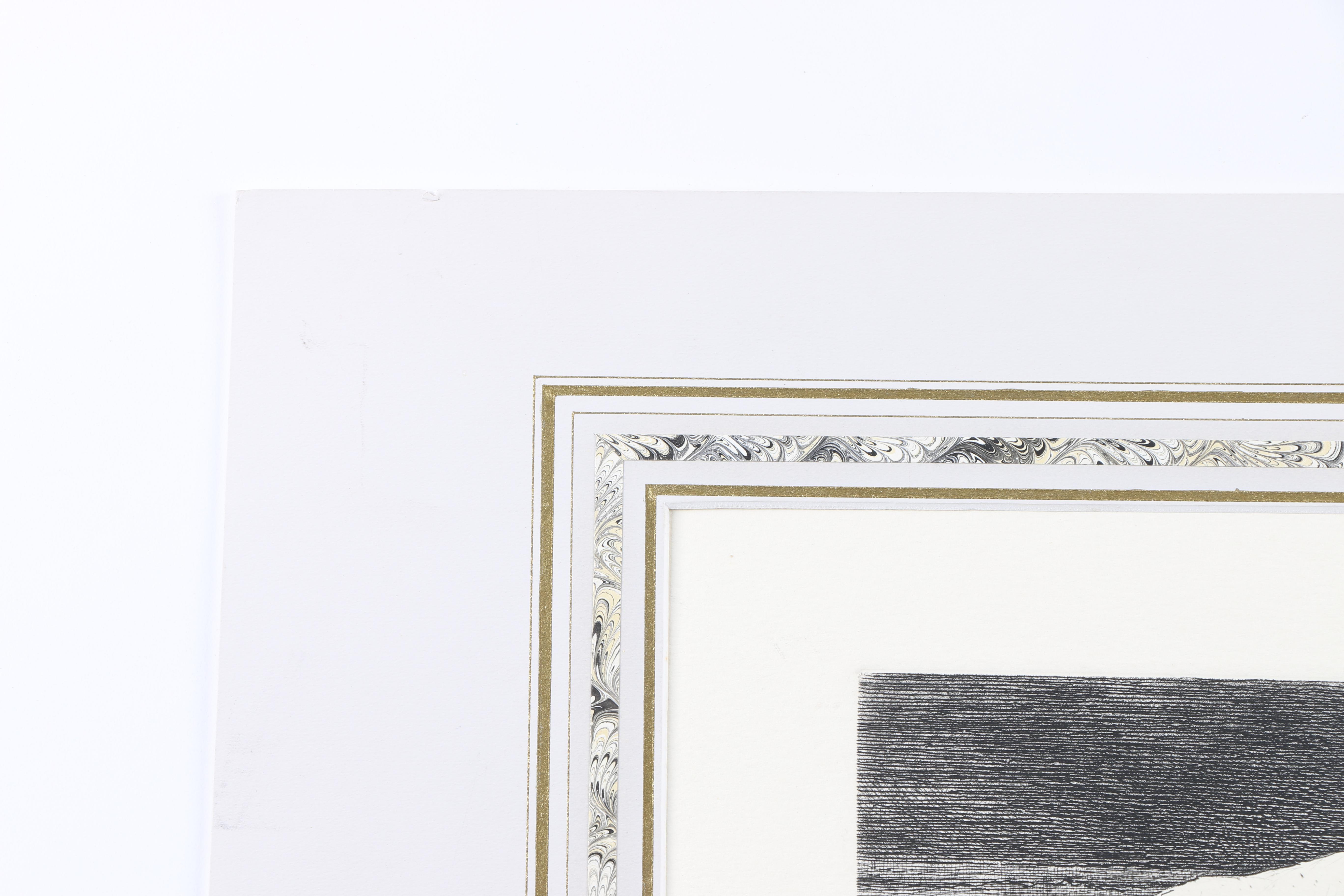 Hand-Colored Etchings of Animals