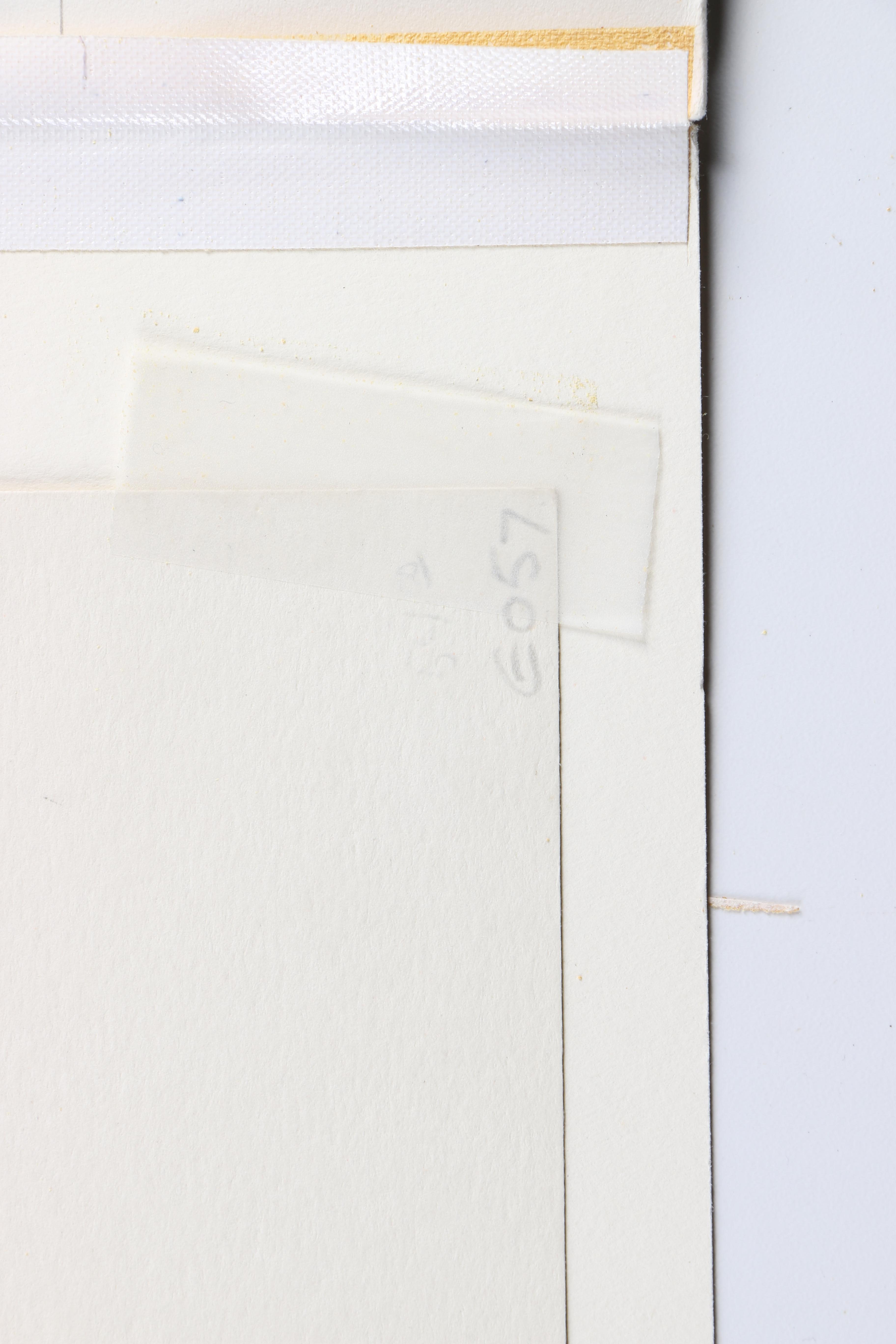 Hand-Colored Etchings of Animals