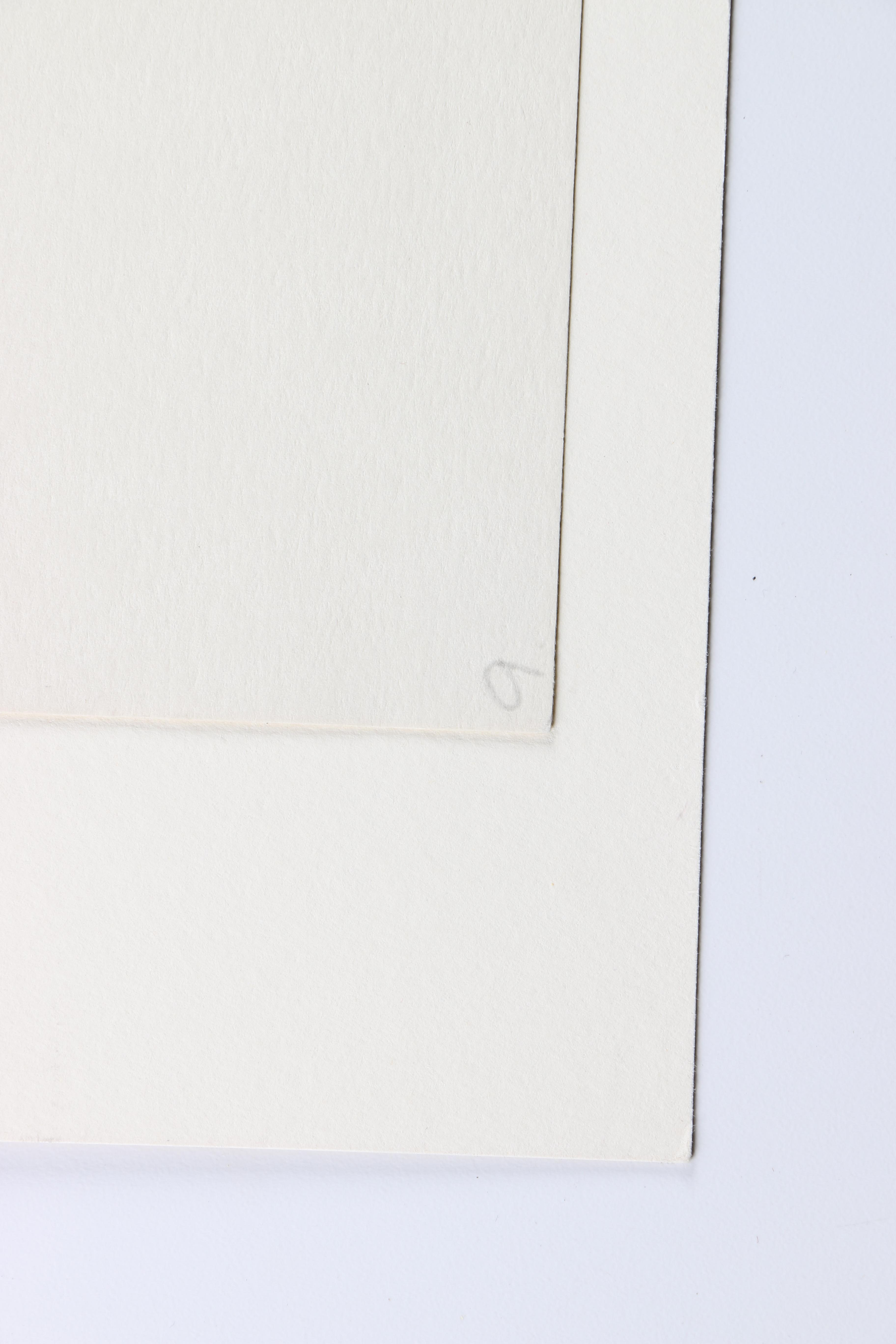 Hand-Colored Etchings of Animals