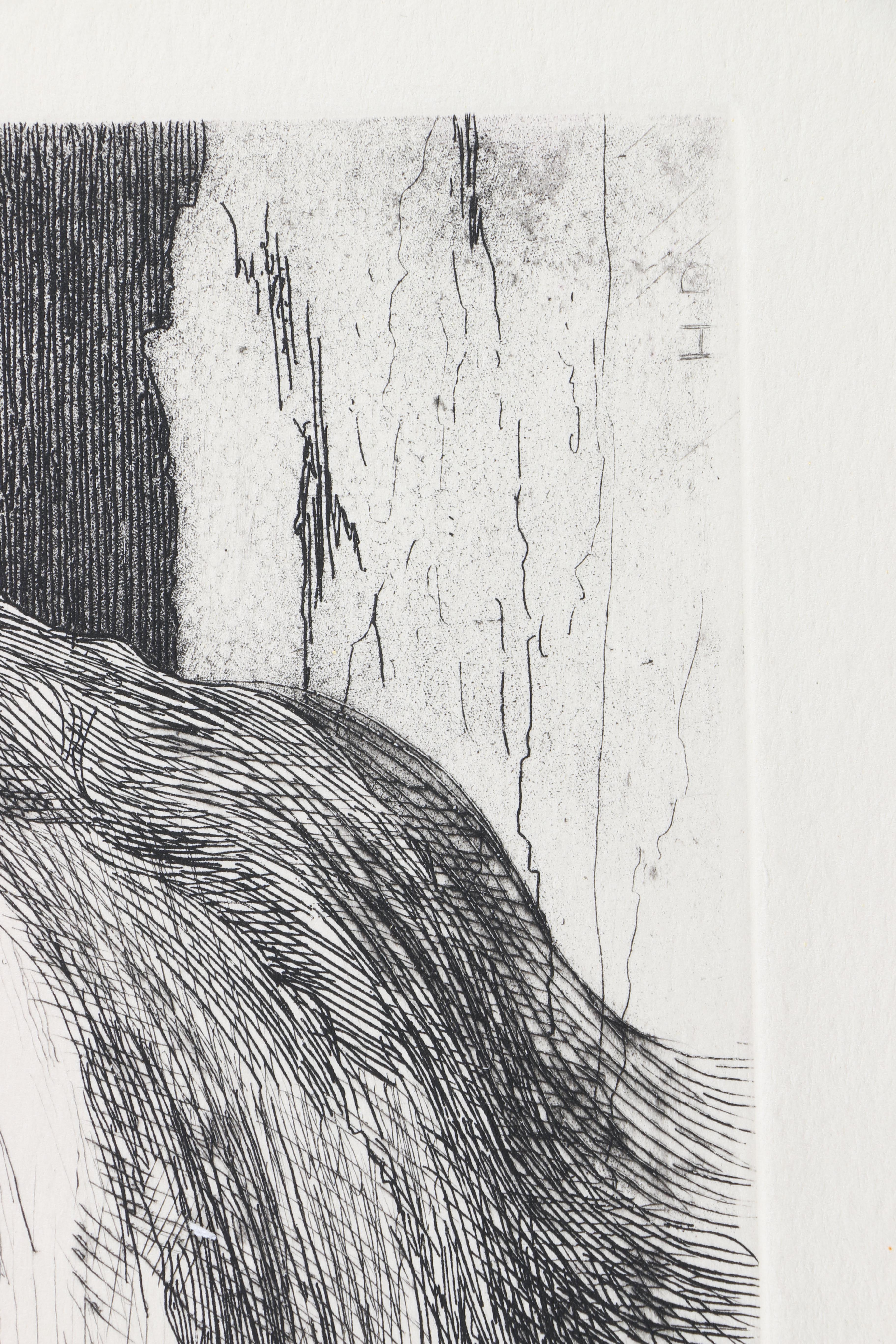 Hand-Colored Etchings of Animals