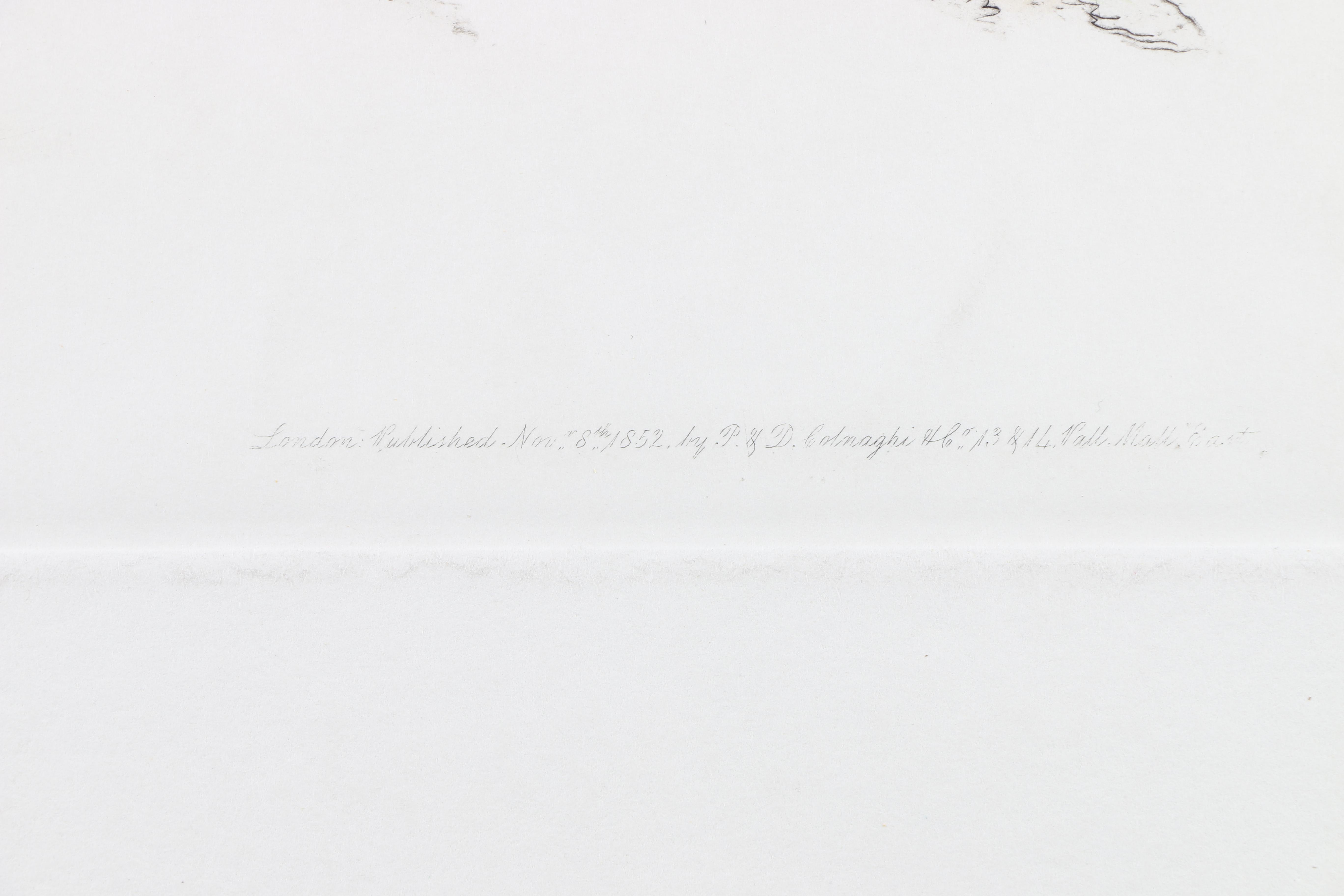 Hand-Colored Etchings of Animals