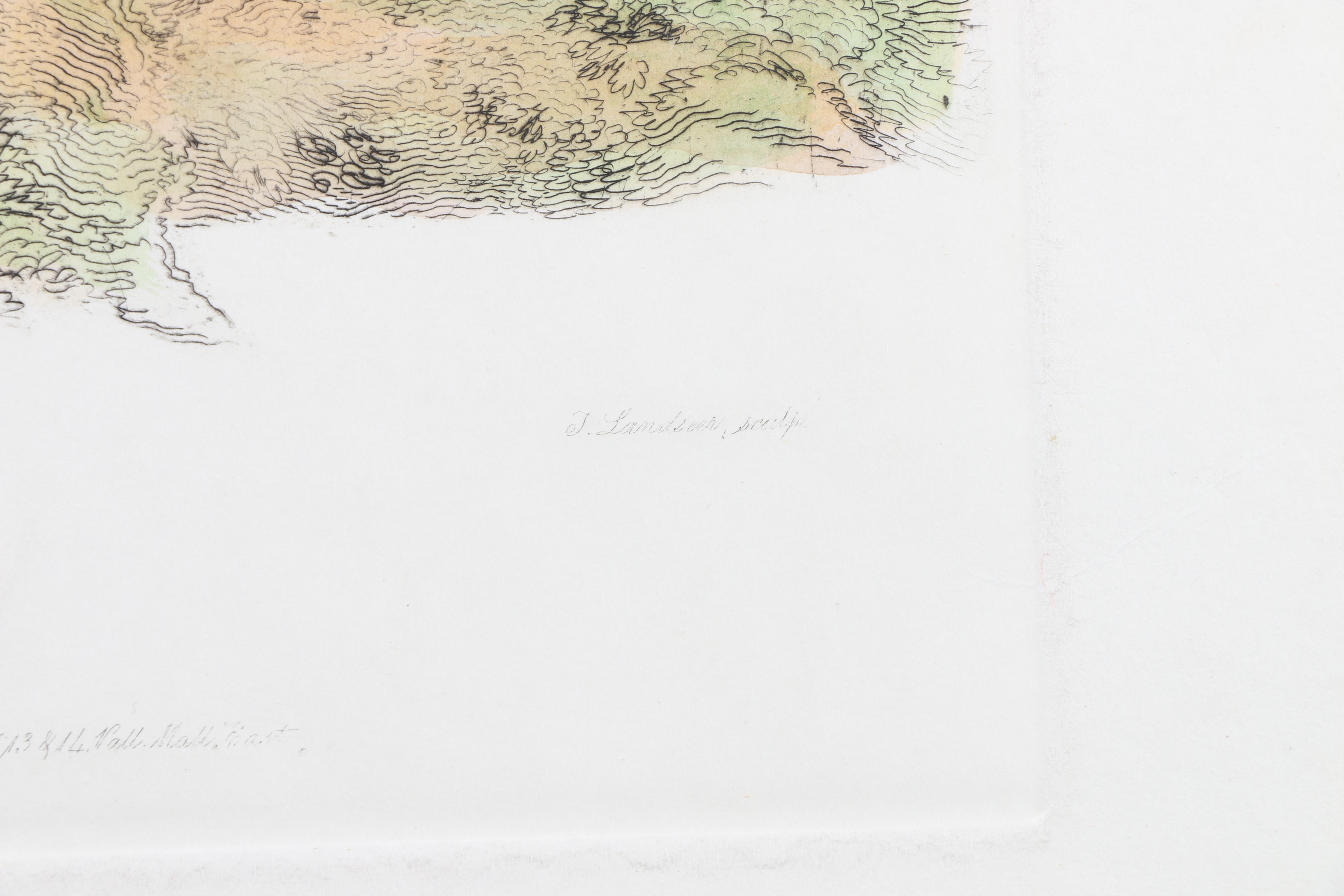 Hand-Colored Etchings of Animals