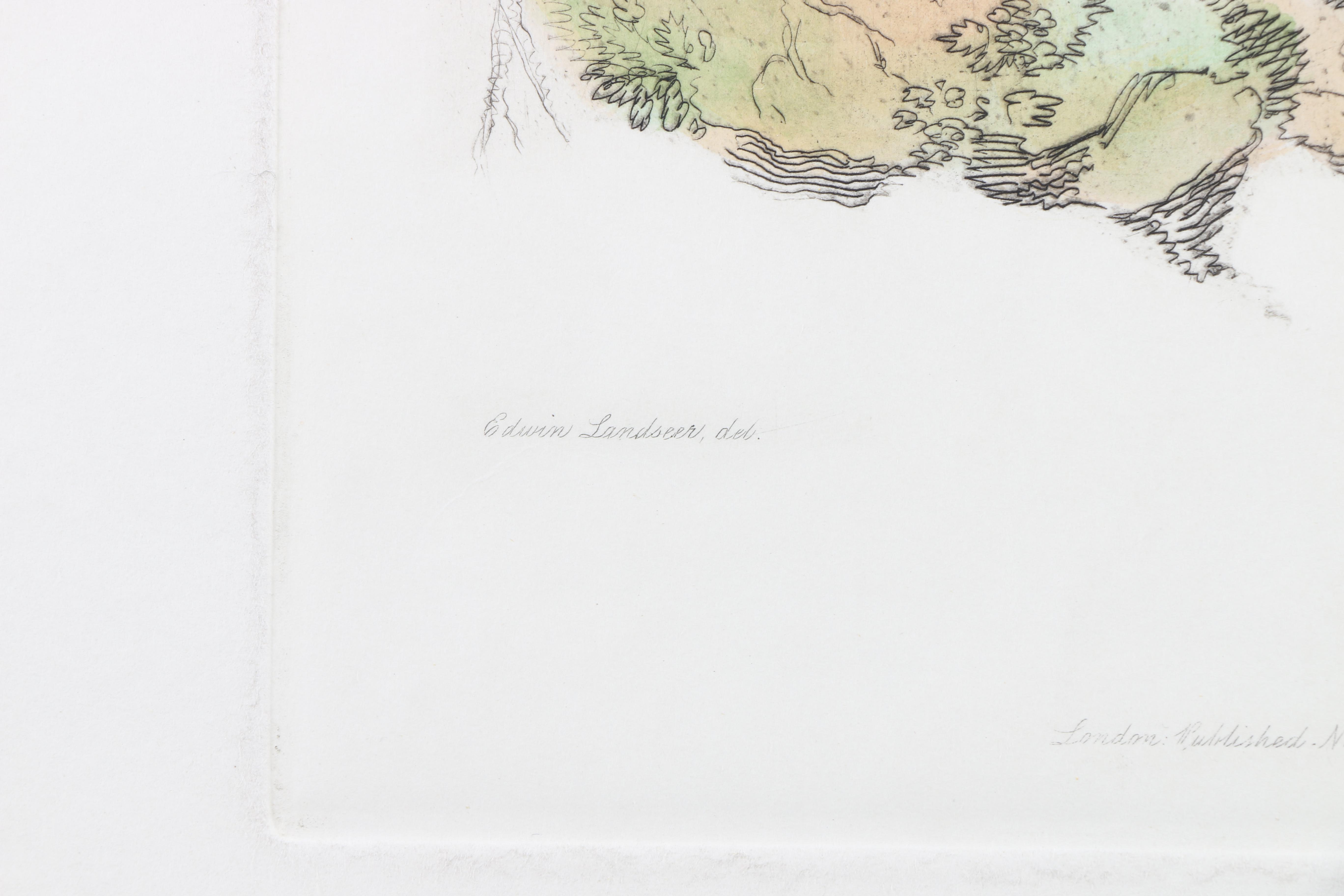 Hand-Colored Etchings of Animals