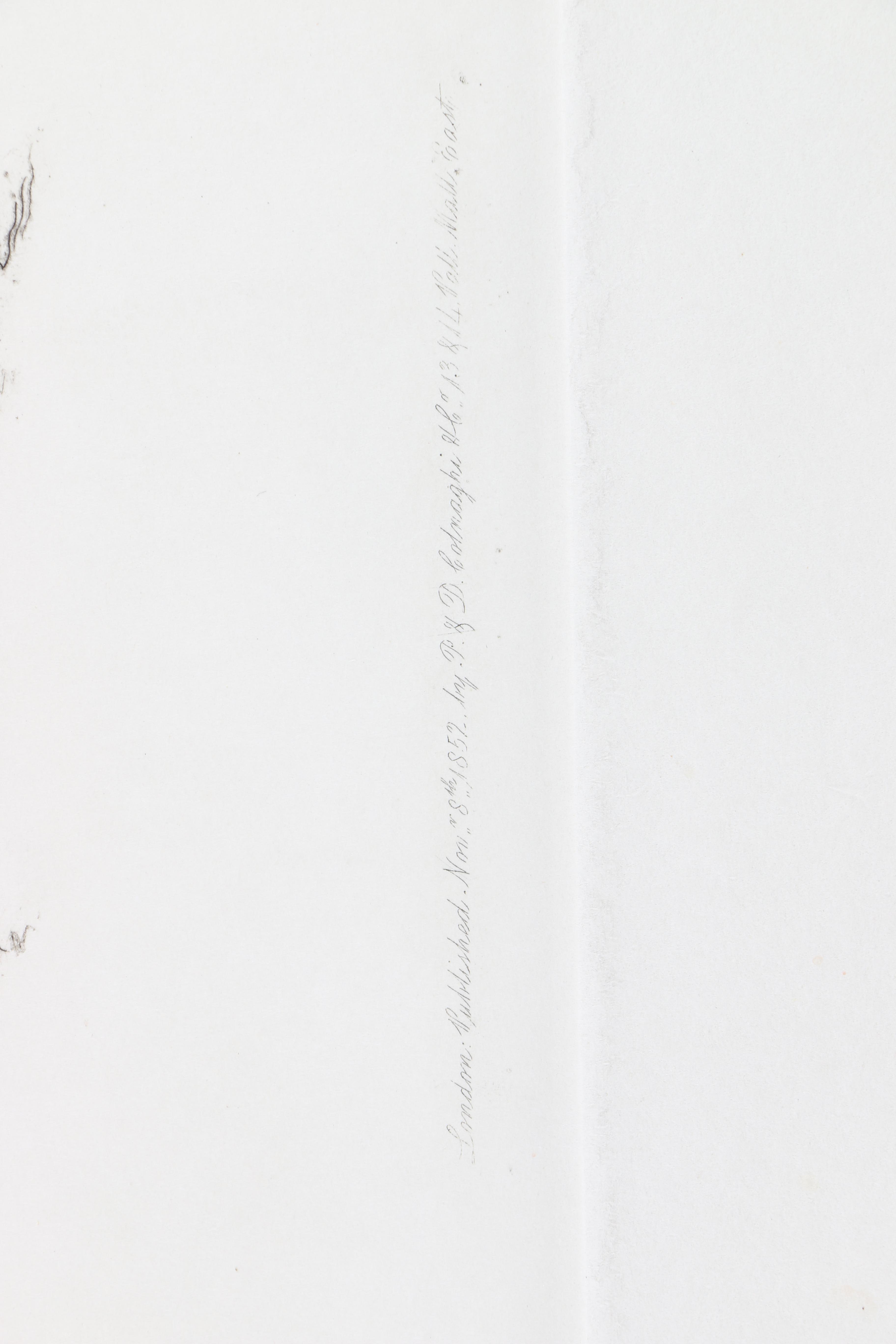 Hand-Colored Etchings of Animals