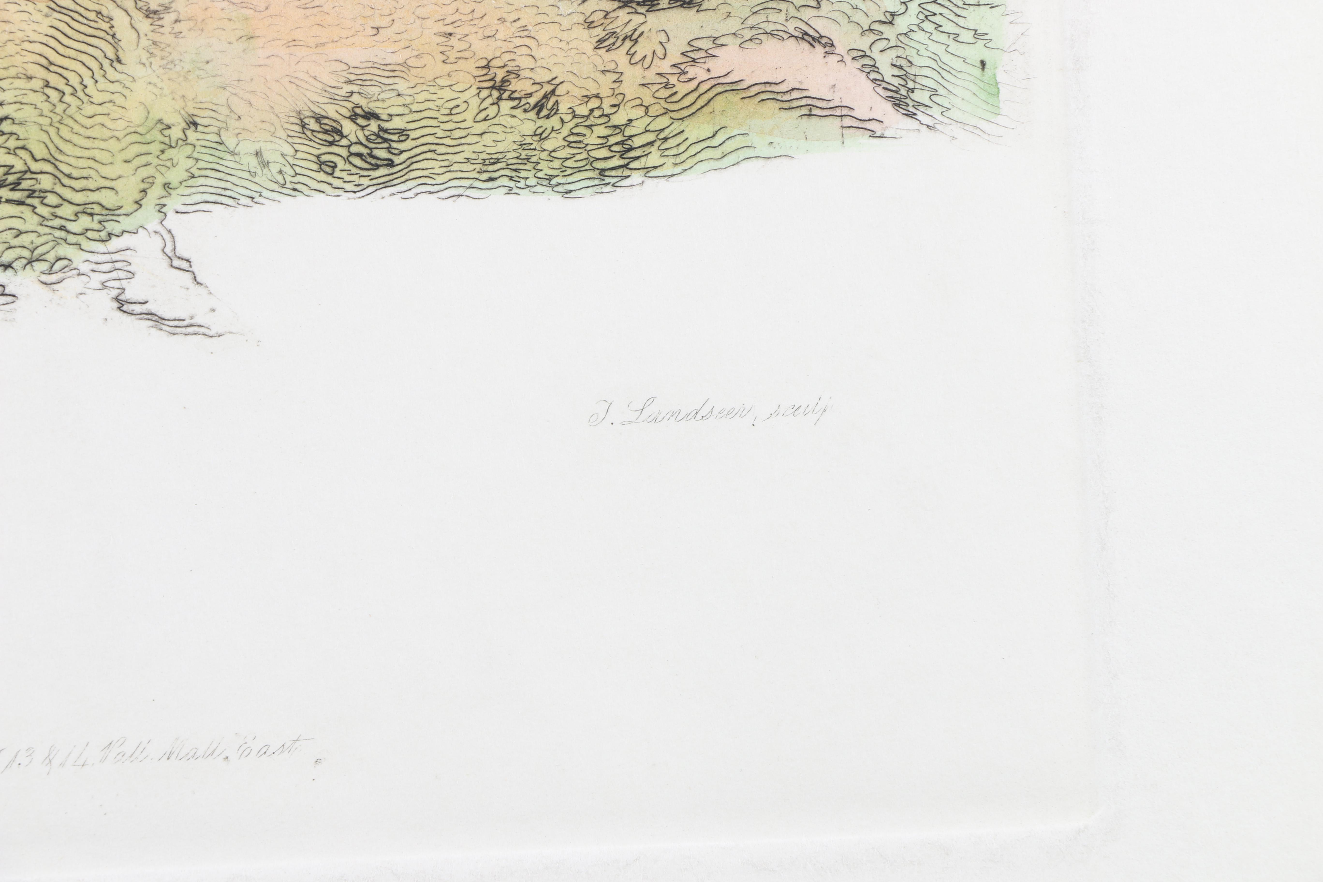 Hand-Colored Etchings of Animals