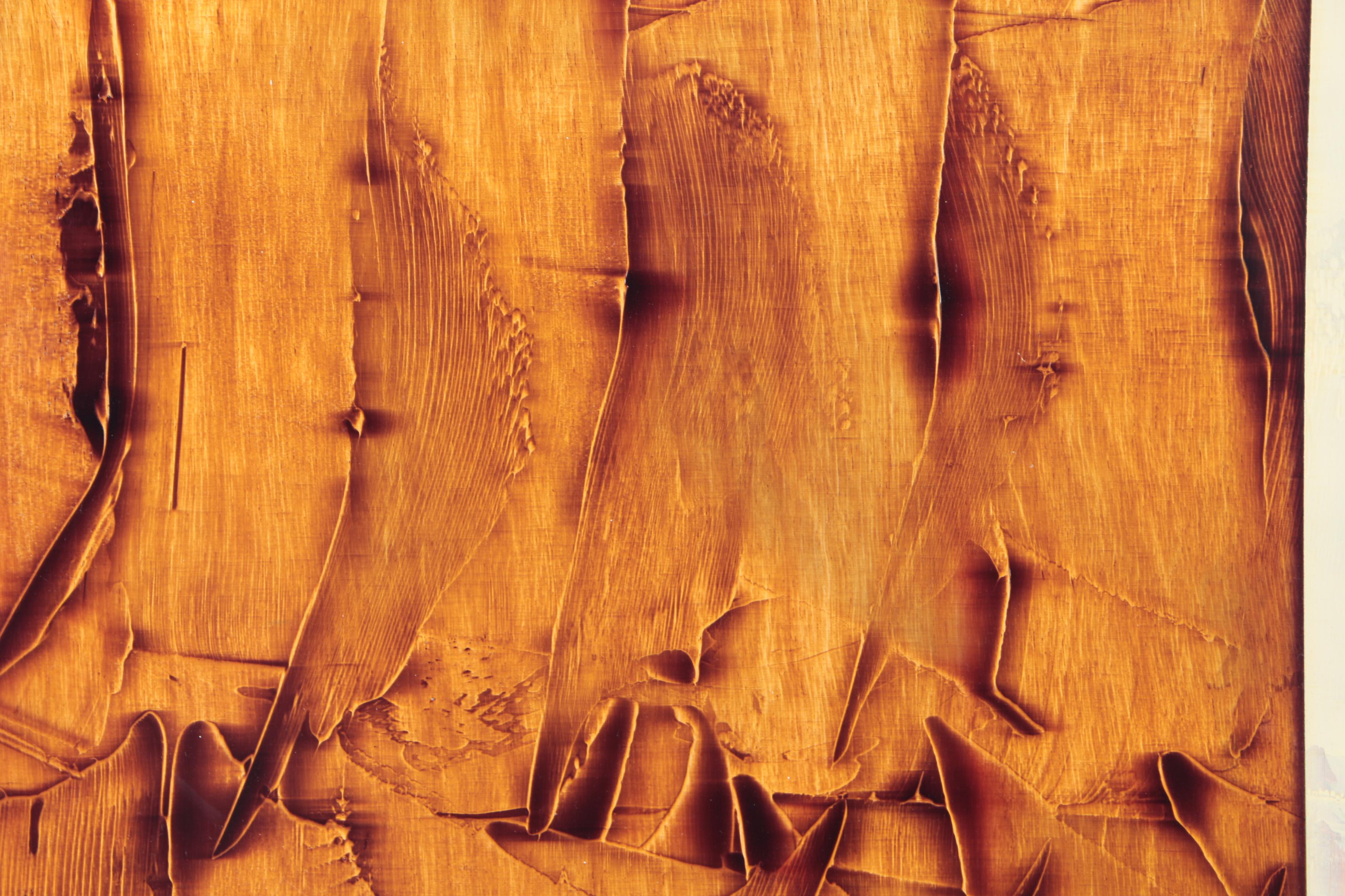 Richard A. Carlson Acrylic Over Gesso on Wood Panel "Earth Spirit II"