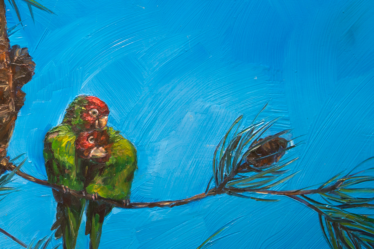 Original Lauren Taylor Oil Painting "Wild Parrots of Telegraph Hill"