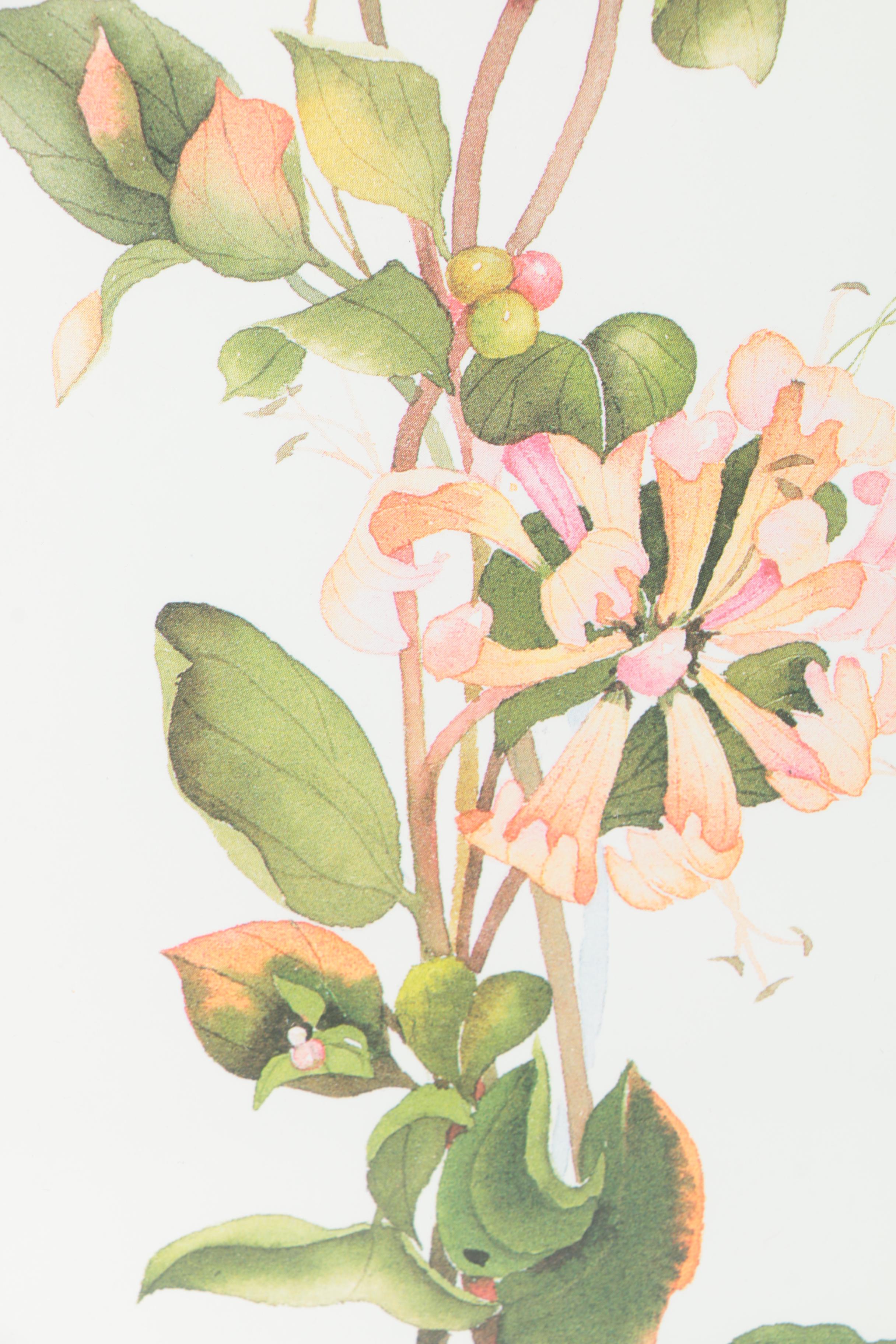 Valerie Pfeiffer Offset Lithographs "Honeysuckle and Hummingbirds" and "Poppypod and Chicks"