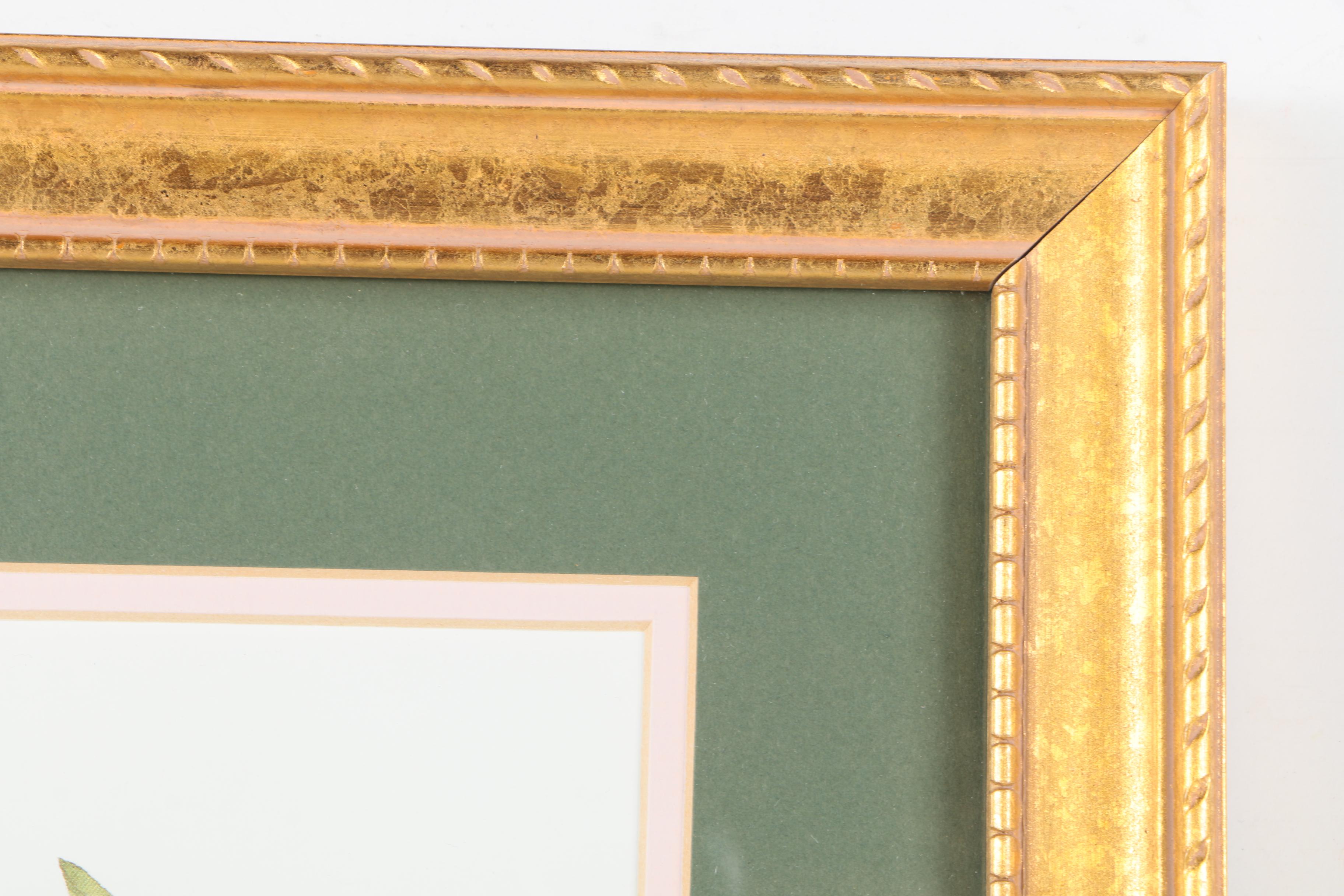 Valerie Pfeiffer Offset Lithographs "Honeysuckle and Hummingbirds" and "Poppypod and Chicks"