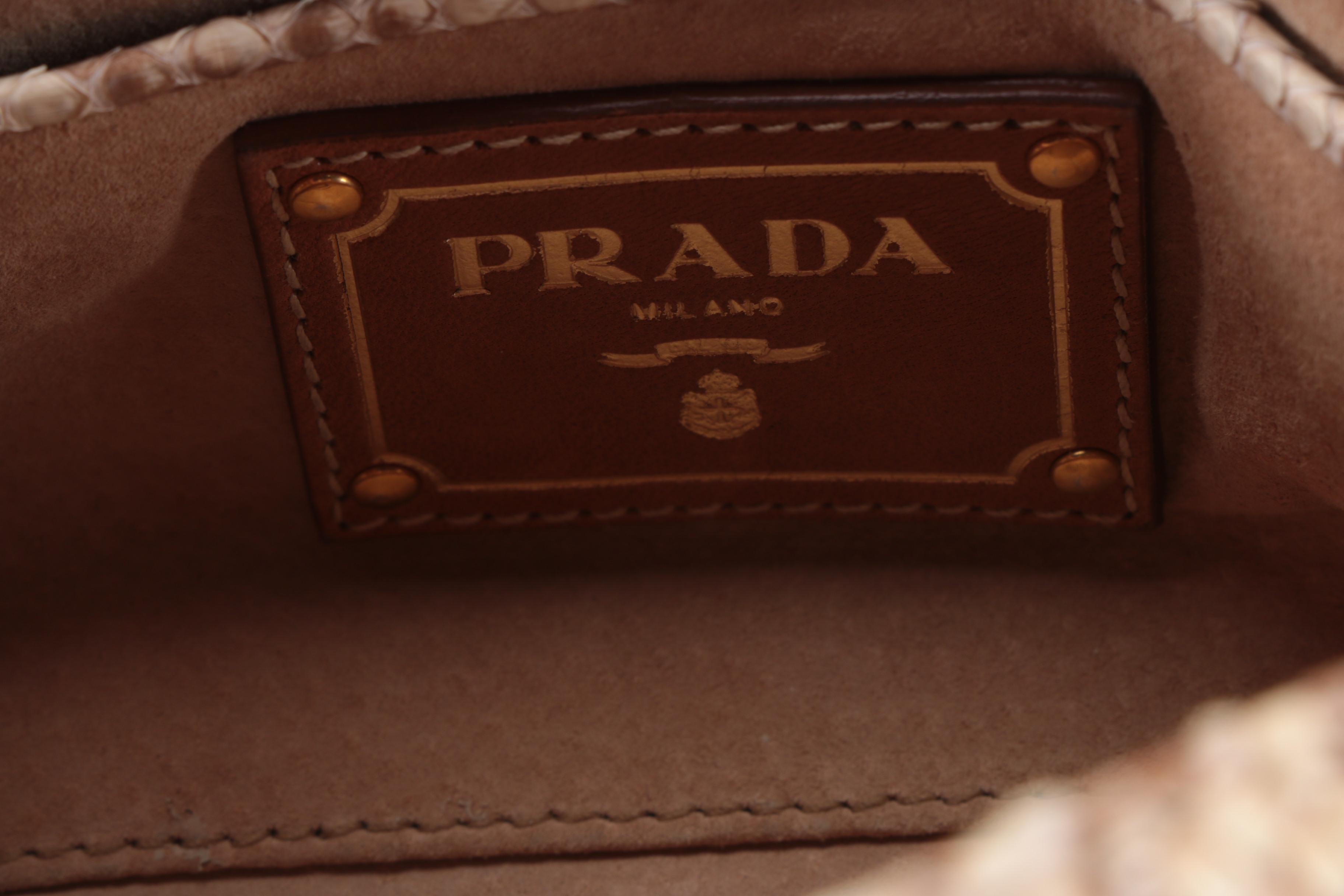 Prada Pattina Pitone Delave Python Handbag