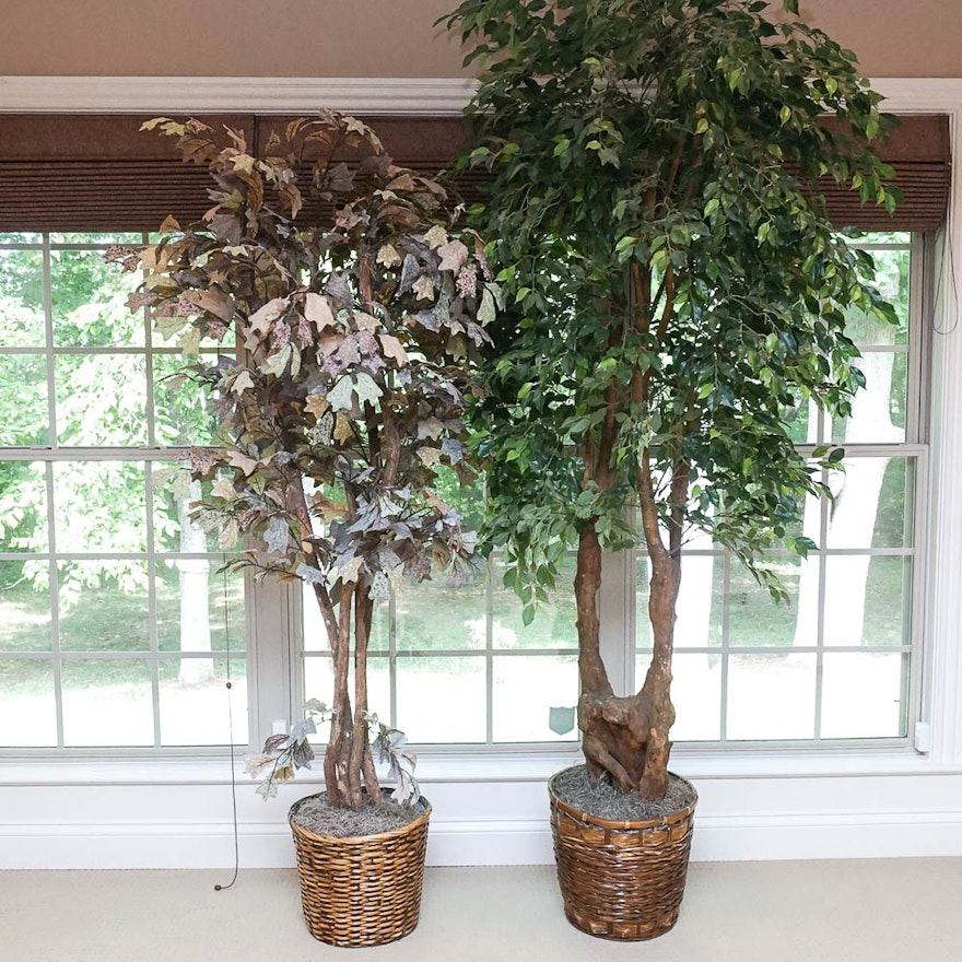 Faux Ginkgo and Ficus Indoor Trees