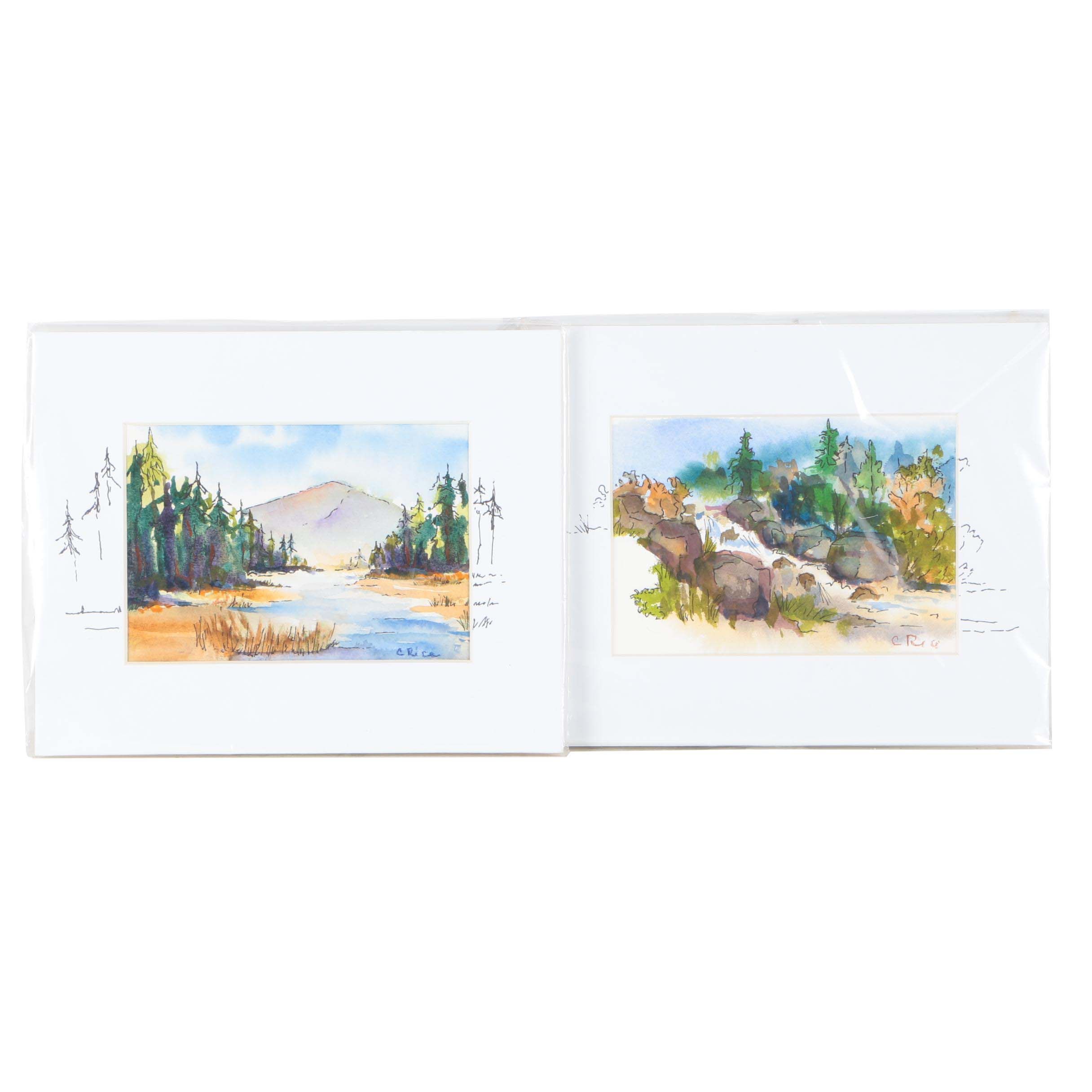 Cathy Rice Watercolor Paintings "Edge of the River" and "Tumbling Creek"