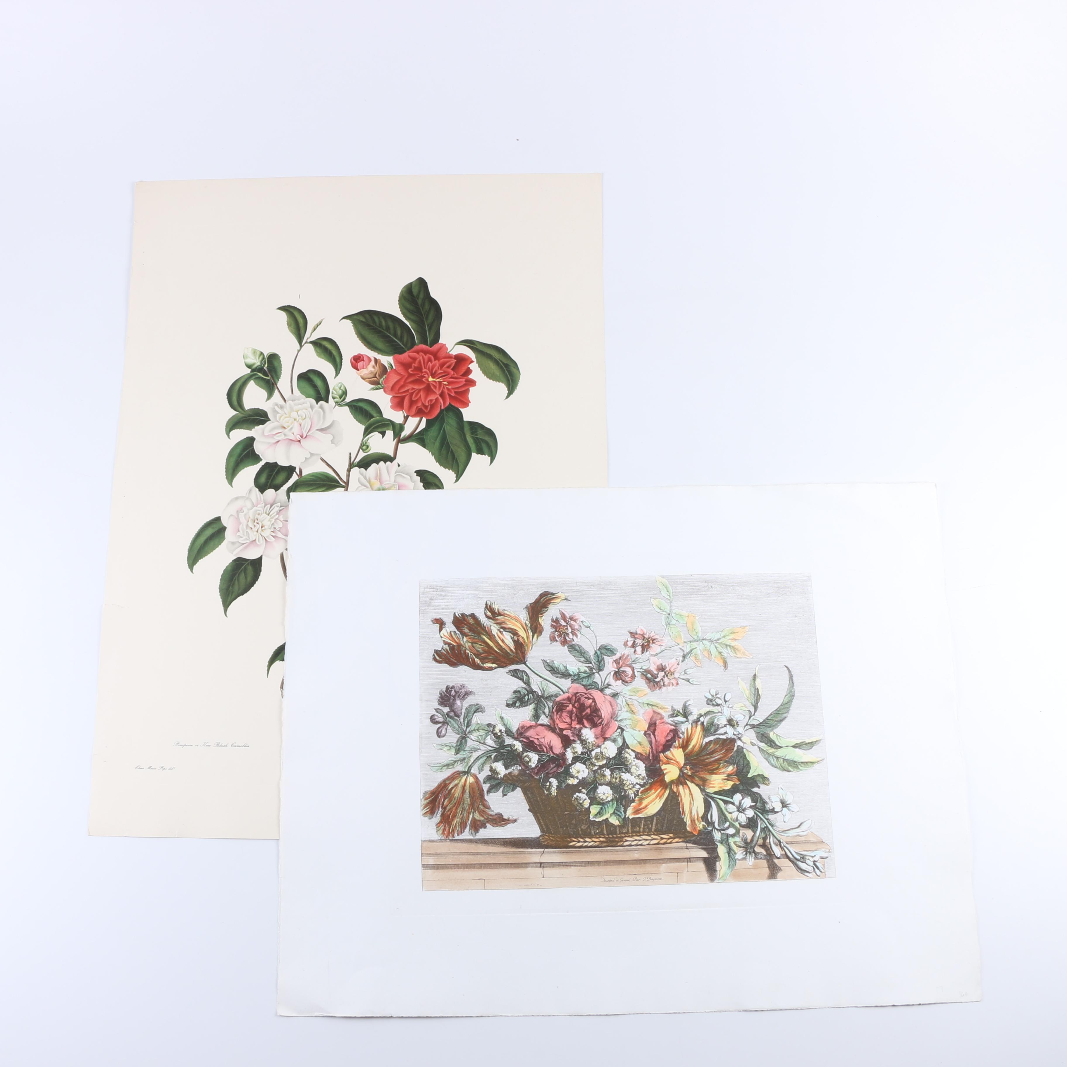 Floral Themed Prints