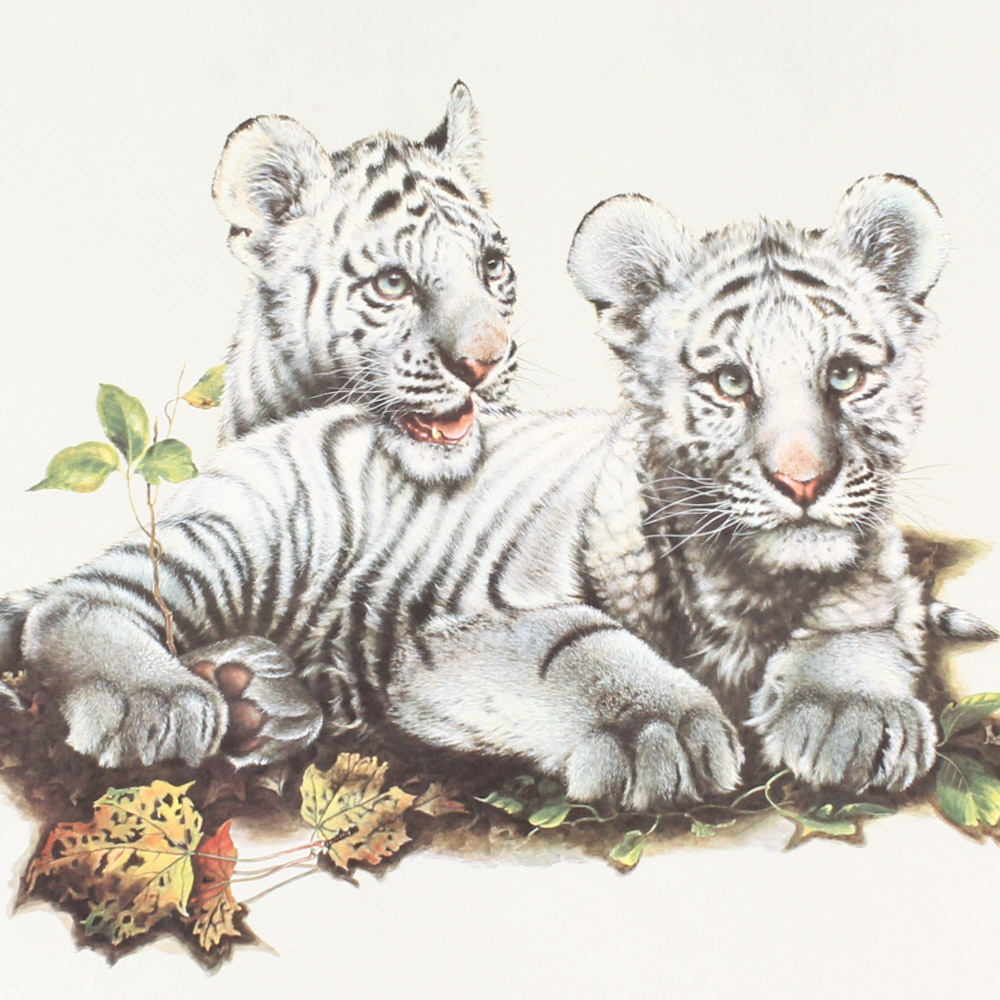Jim Oliver Limited Edition Offset Lithograph Cub Collection