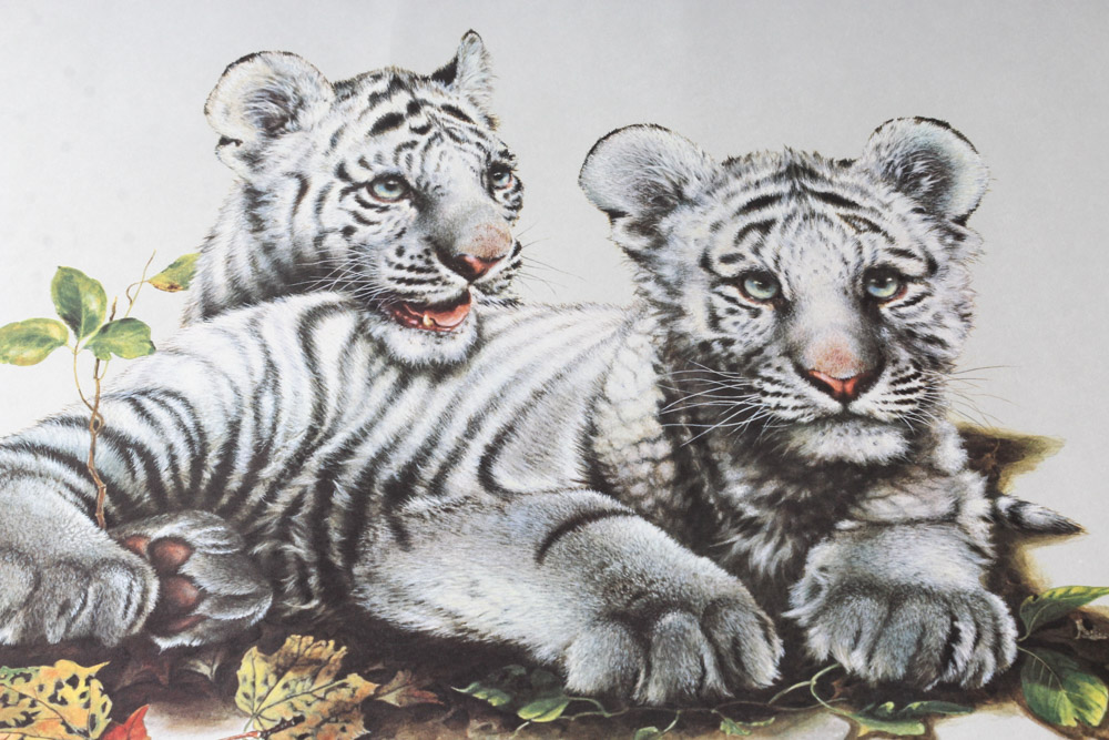 Jim Oliver Limited Edition Offset Lithograph Cub Collection