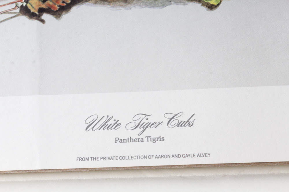 Jim Oliver Limited Edition Offset Lithograph Cub Collection