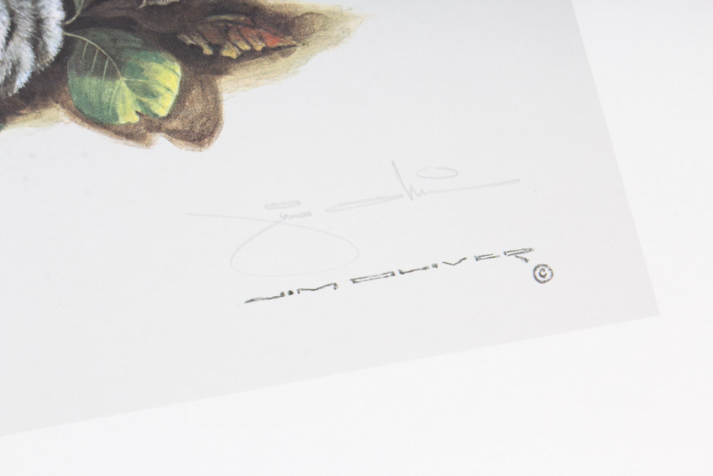 Jim Oliver Limited Edition Offset Lithograph Cub Collection