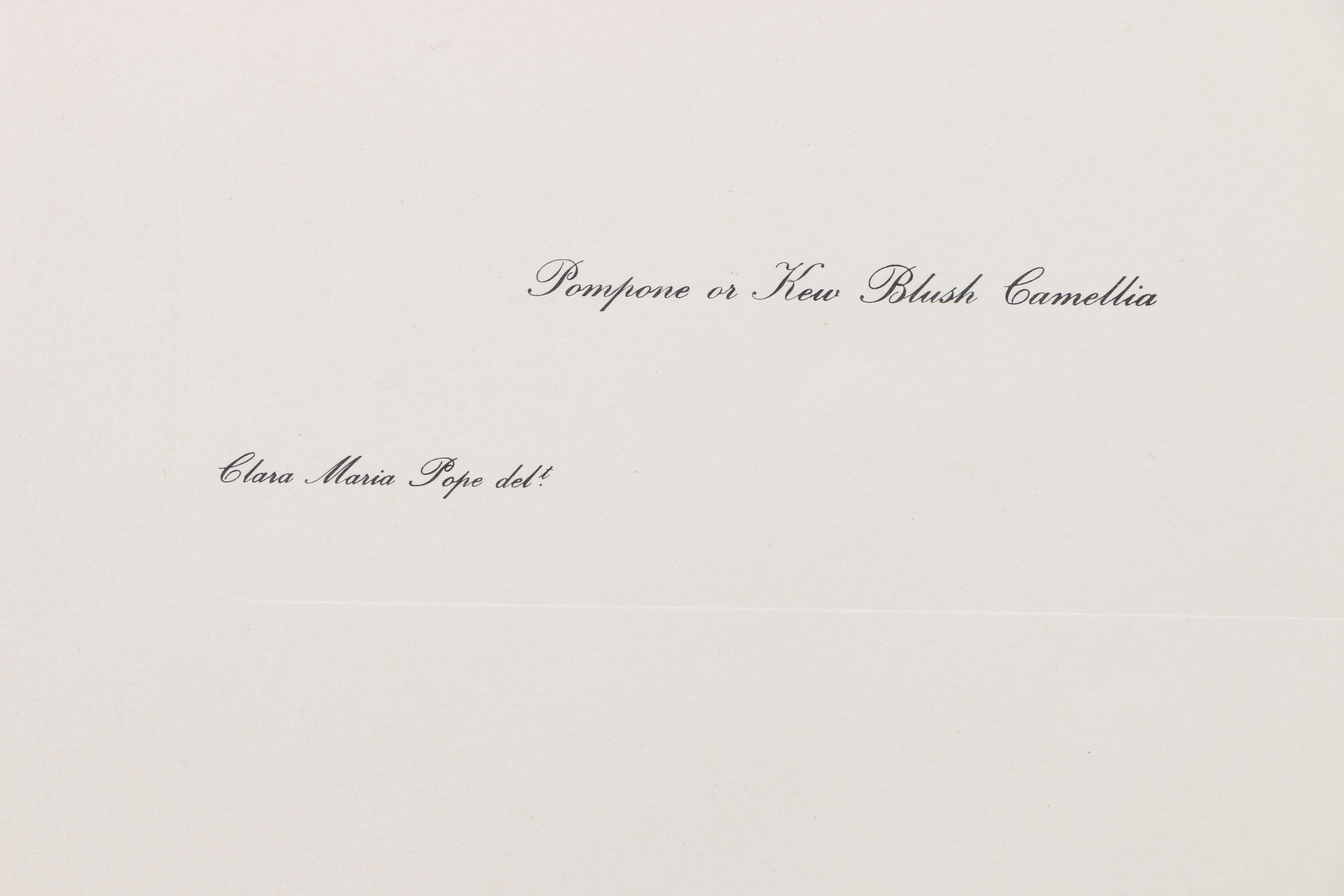 Floral Themed Prints