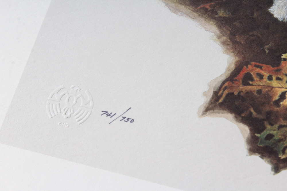 Jim Oliver Limited Edition Offset Lithograph Cub Collection