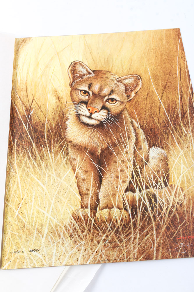 Jim Oliver Limited Edition Offset Lithograph Cub Collection