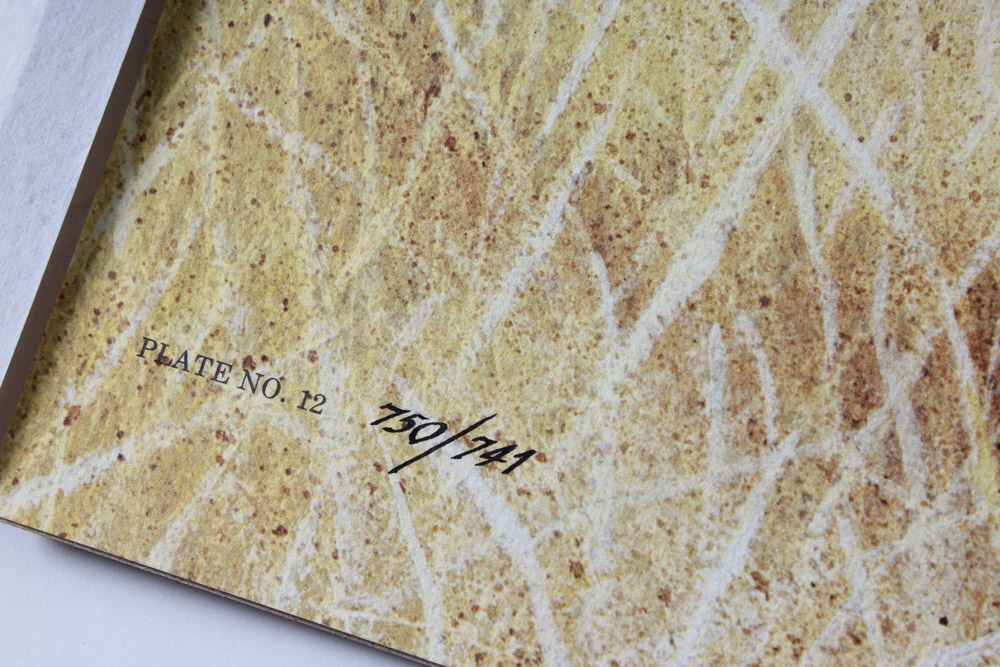 Jim Oliver Limited Edition Offset Lithograph Cub Collection