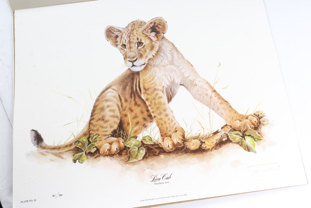 Jim Oliver Limited Edition Offset Lithograph Cub Collection