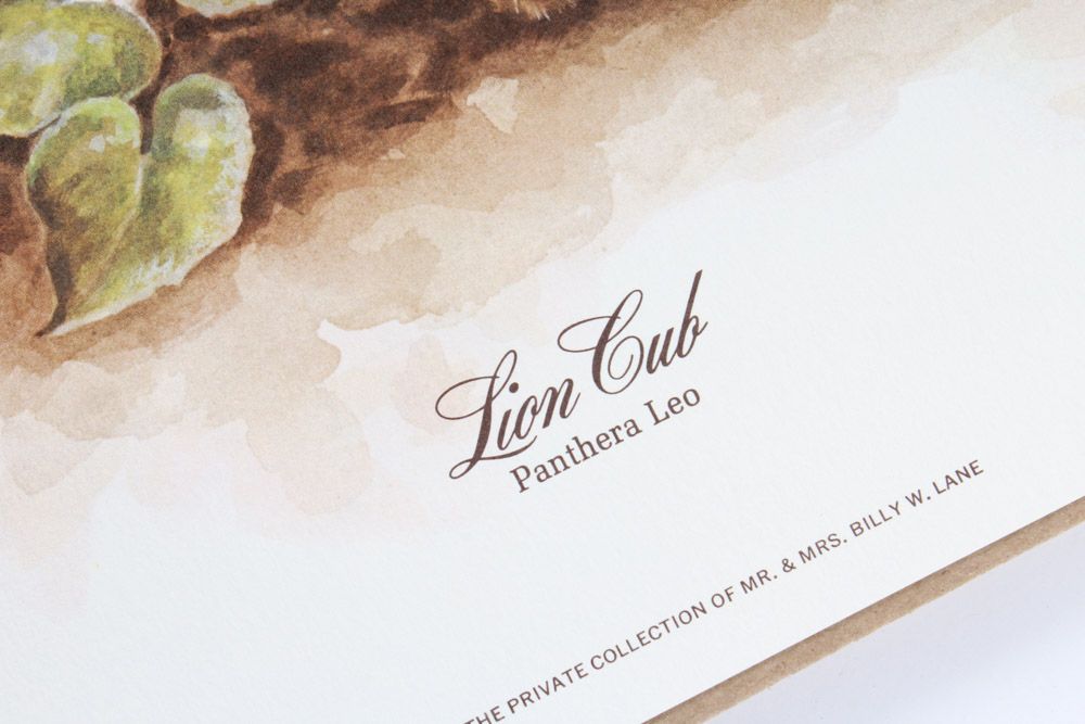 Jim Oliver Limited Edition Offset Lithograph Cub Collection