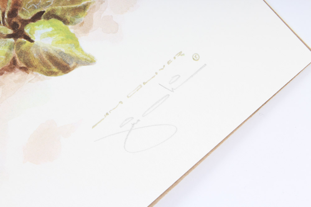 Jim Oliver Limited Edition Offset Lithograph Cub Collection