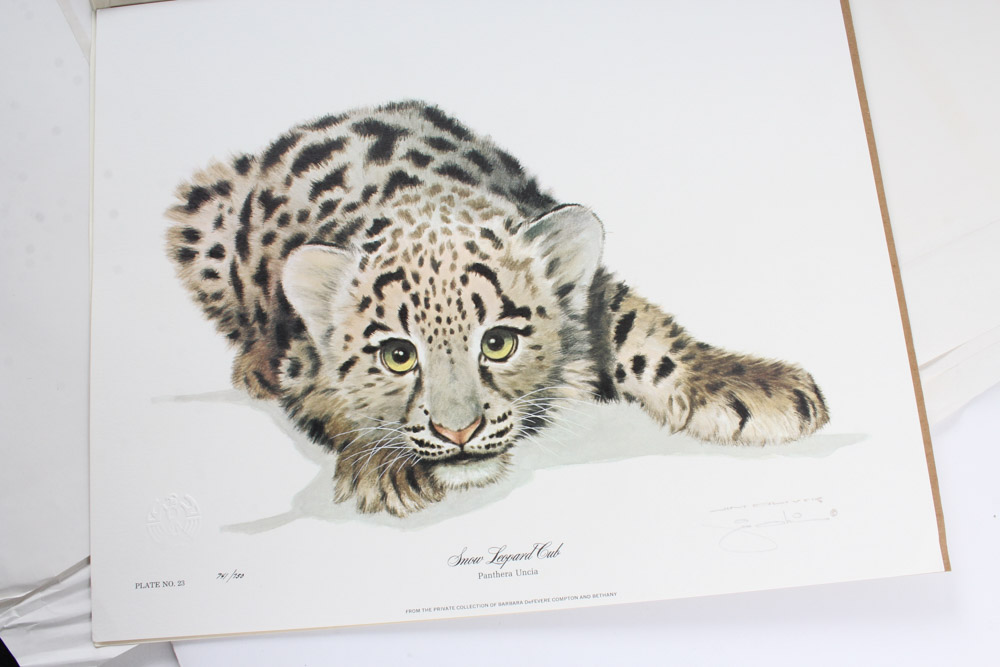 Jim Oliver Limited Edition Offset Lithograph Cub Collection