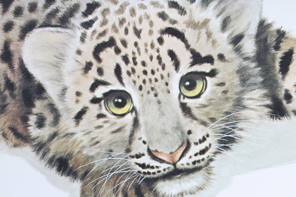 Jim Oliver Limited Edition Offset Lithograph Cub Collection