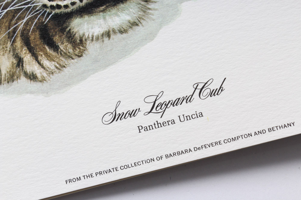 Jim Oliver Limited Edition Offset Lithograph Cub Collection