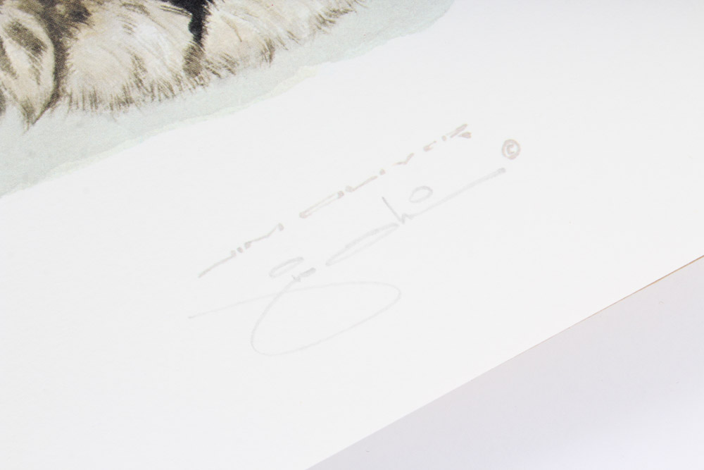 Jim Oliver Limited Edition Offset Lithograph Cub Collection