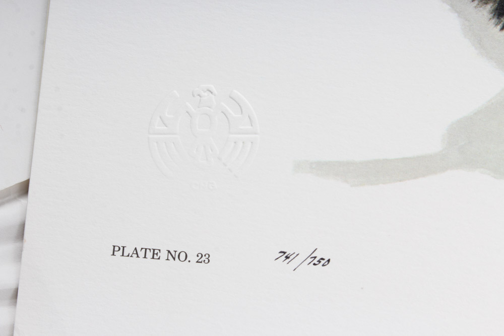 Jim Oliver Limited Edition Offset Lithograph Cub Collection