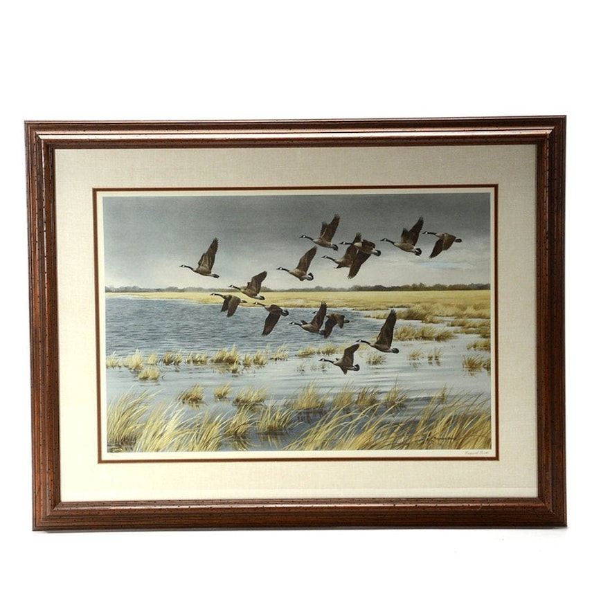 Maynard Reece Signed Offset Lithograph "Winging South - Canada Geese"