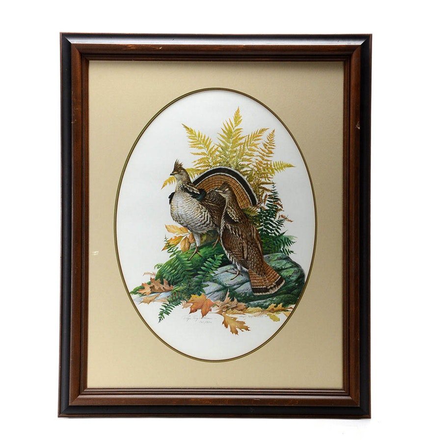 Roger Tory Peterson Signed Limited Edition Offset Lithograph