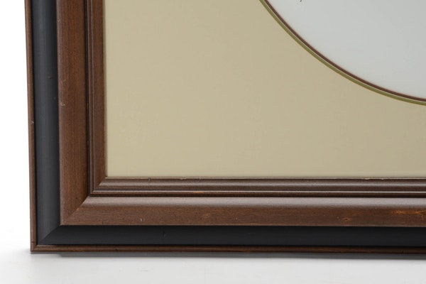 Roger Tory Peterson Signed Limited Edition Offset Lithograph