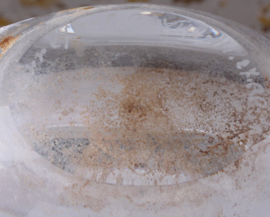 Orrefors Etched Crystal Vase