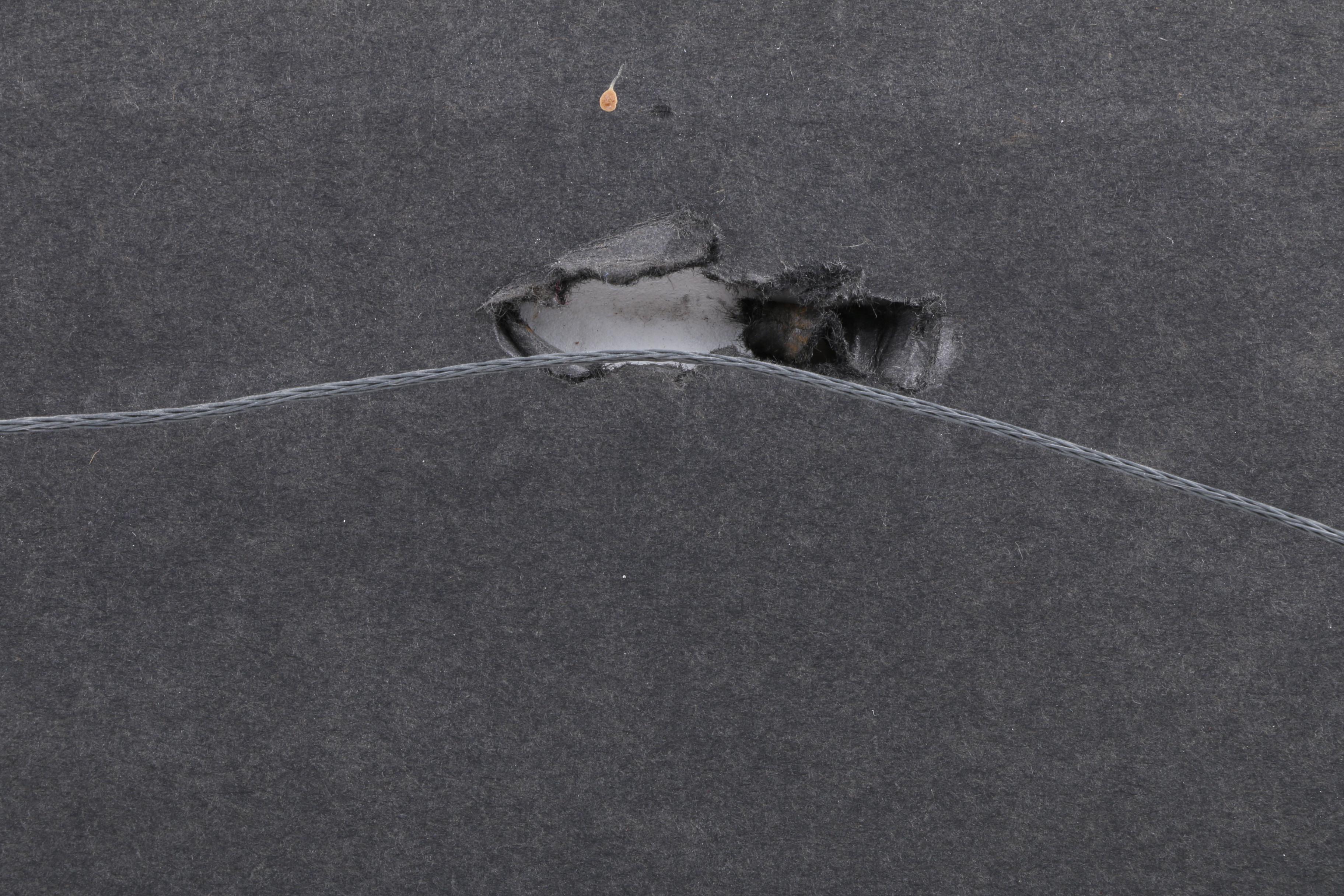 Signed 1998 Colored Photograph of Maya Angelou