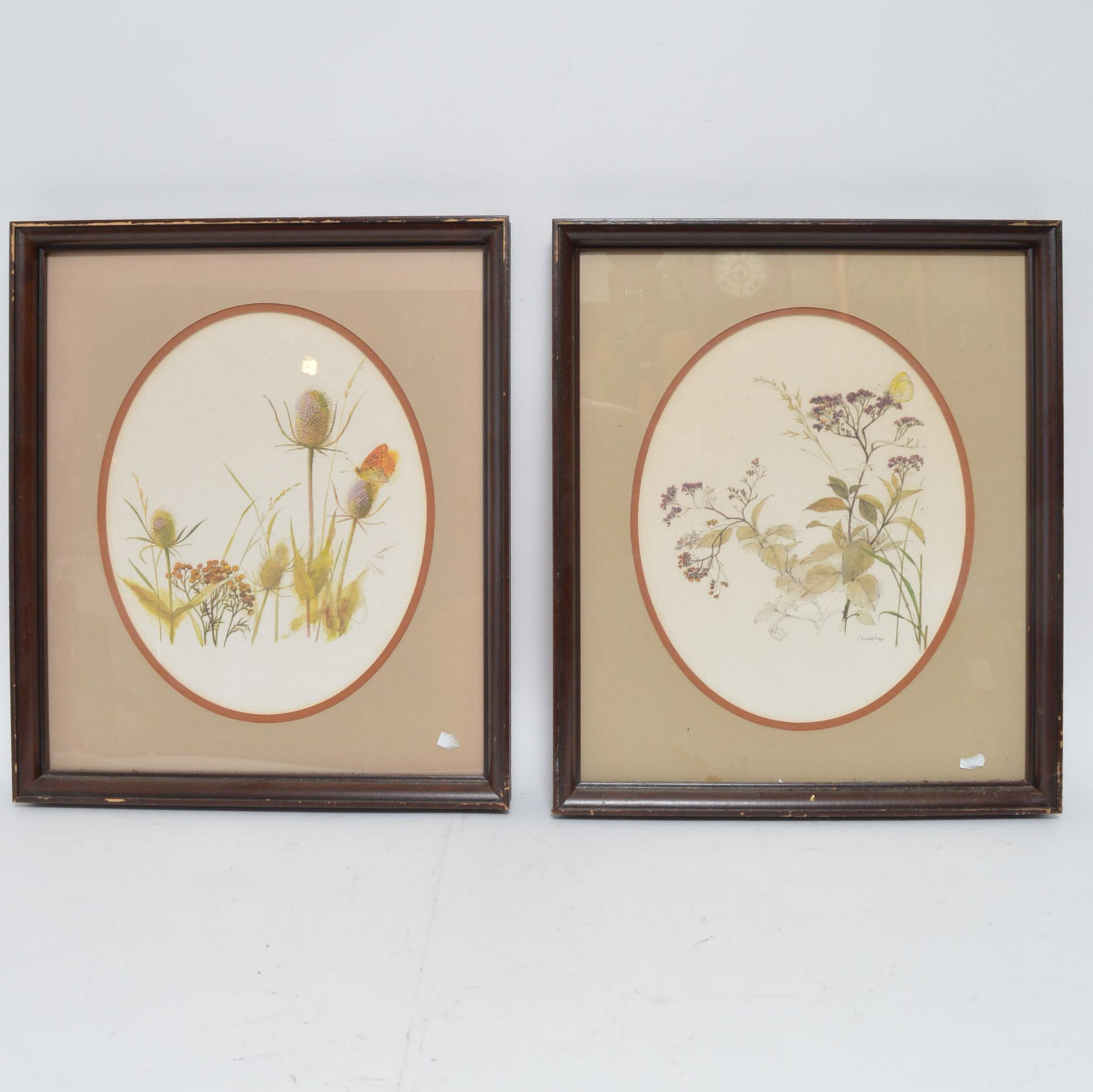 Pair of Offset Lithographs of Wildflowers